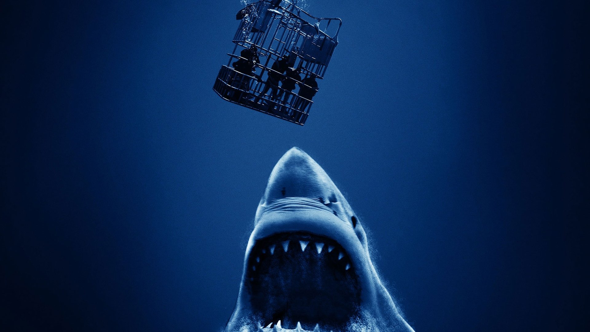 Open Water - Cage Dive