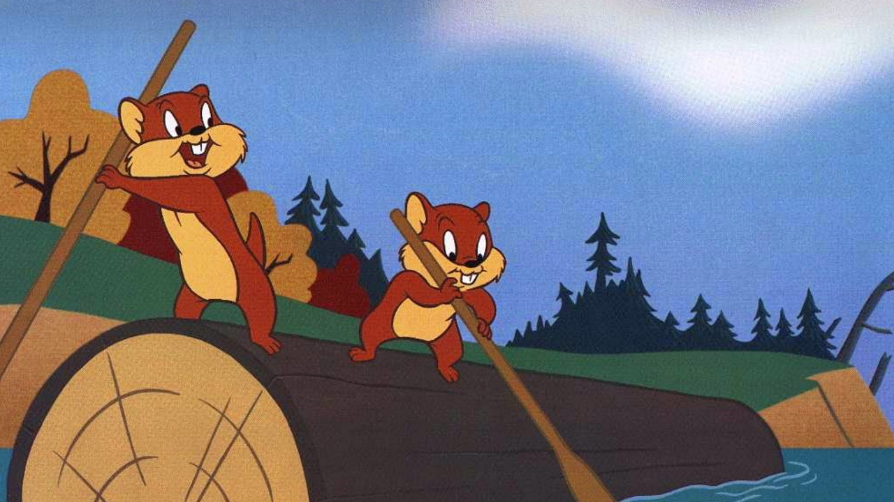 Zwischen Baum und Borke