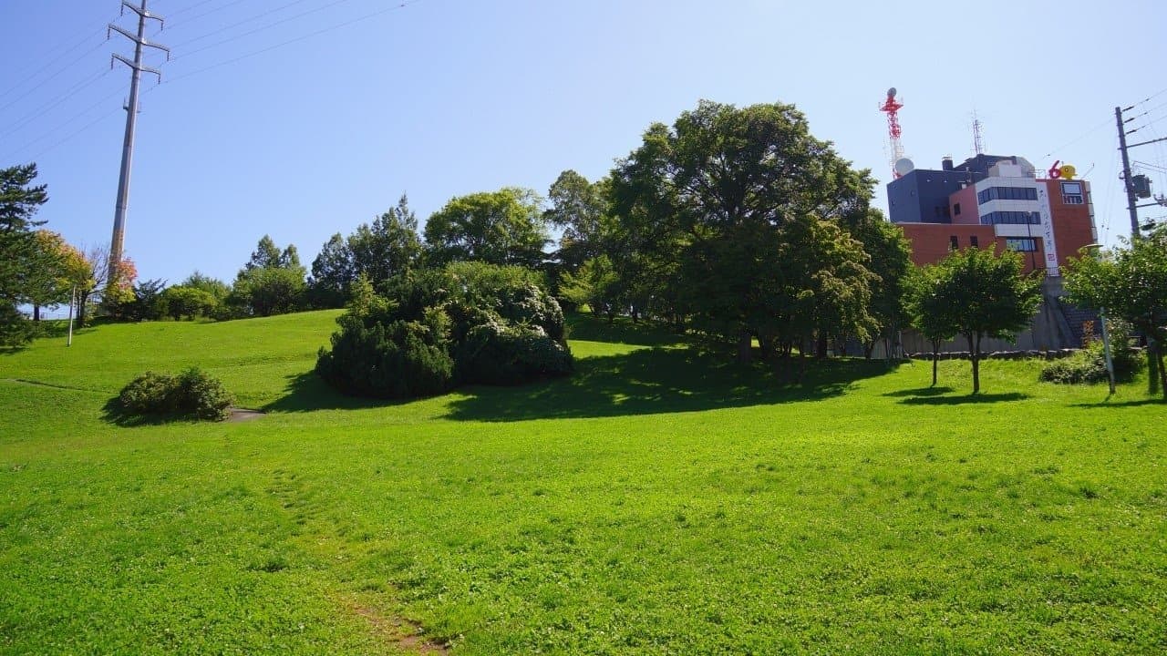 水曜どうでしょう