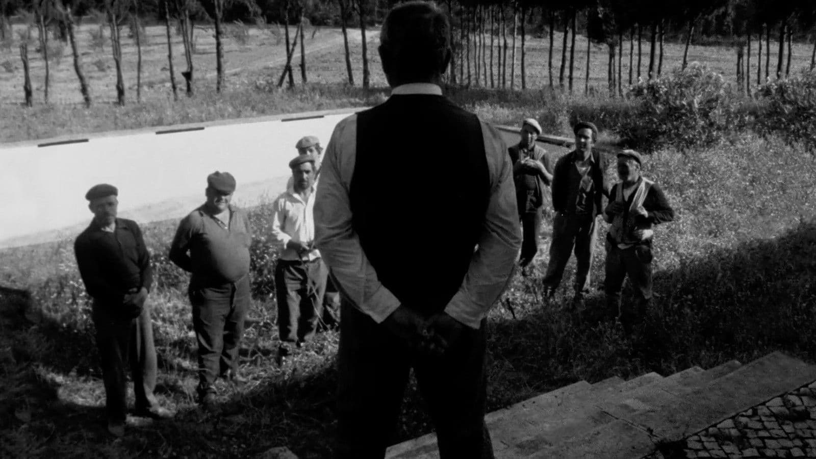 … Pela Razão Que Têm!