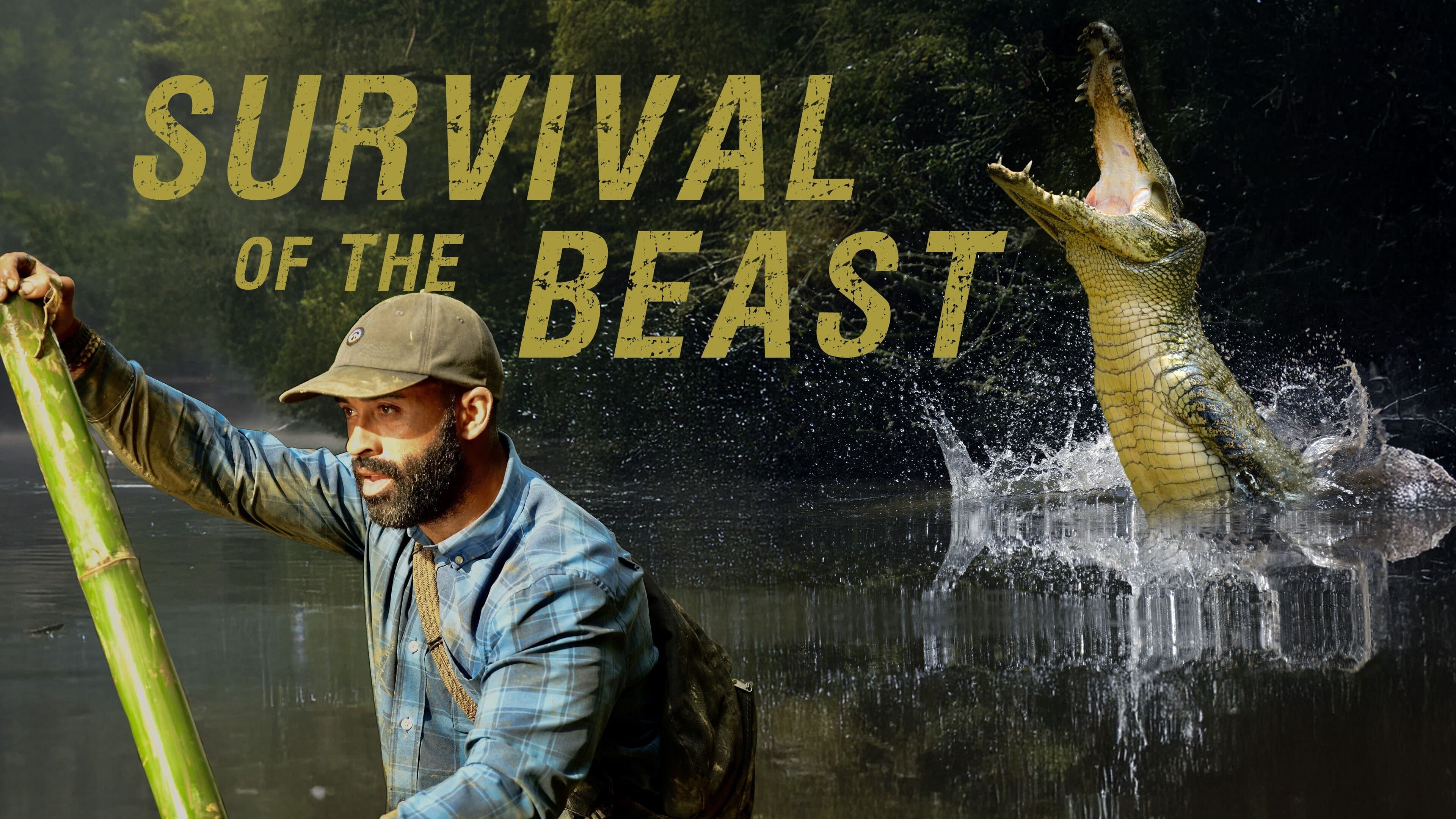 Überlebenskampf der Wildtiere