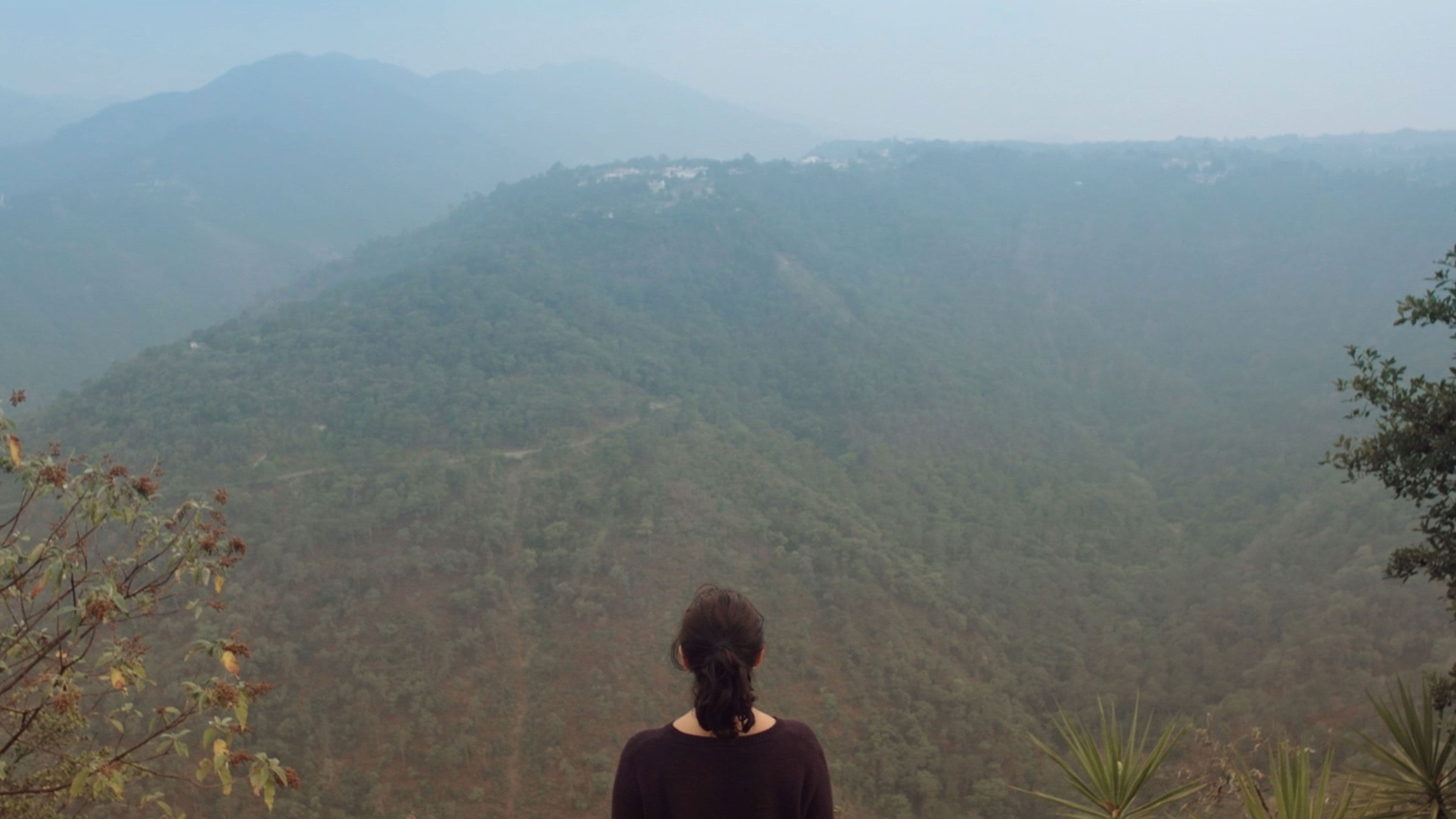 Nadie, ni siquiera la bruma