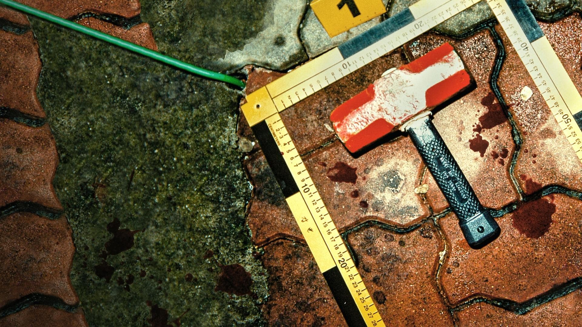 Der Regenmantel-Killer: Mörderjagd in Korea