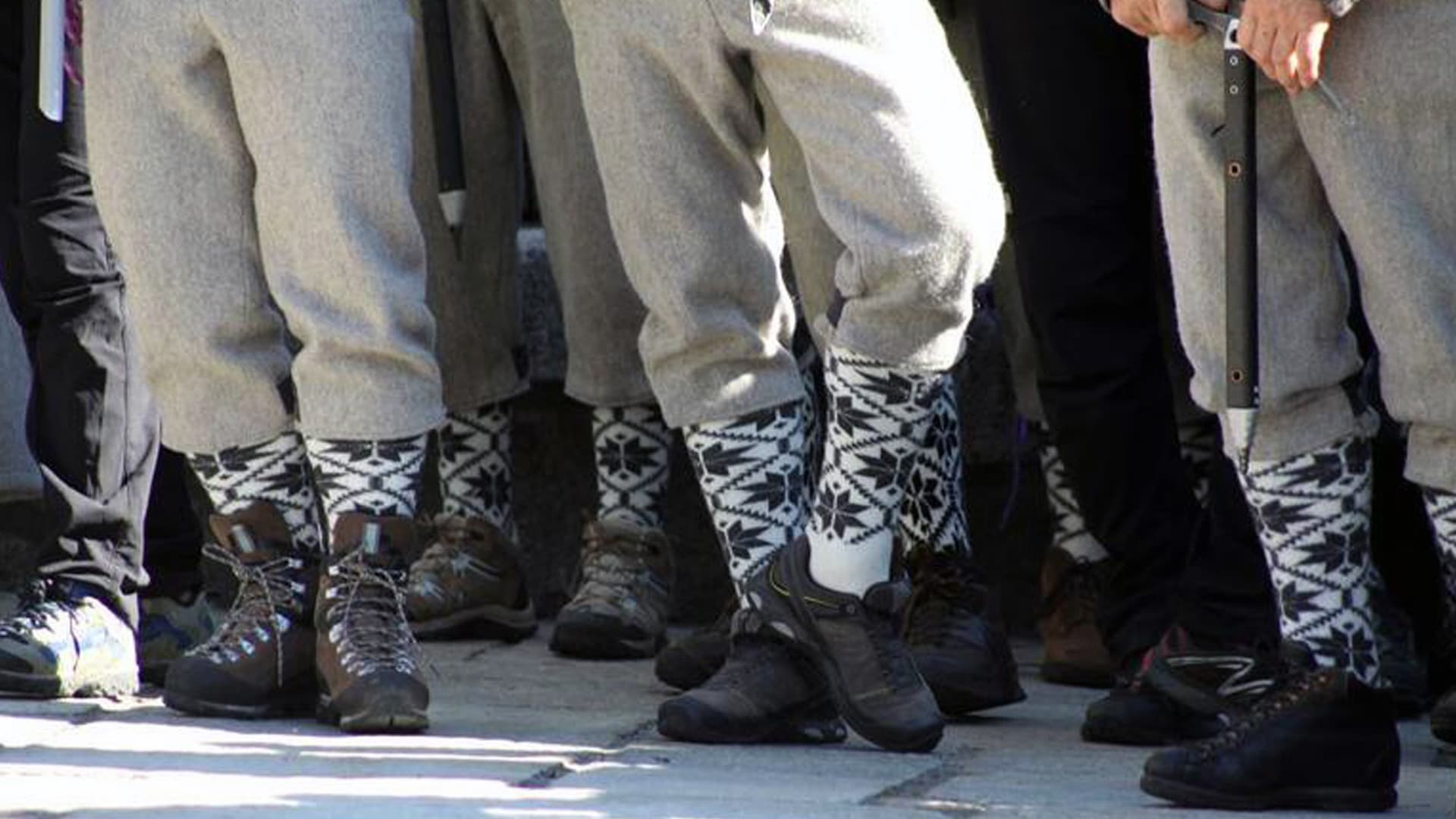 Les Compagnons Du Vide