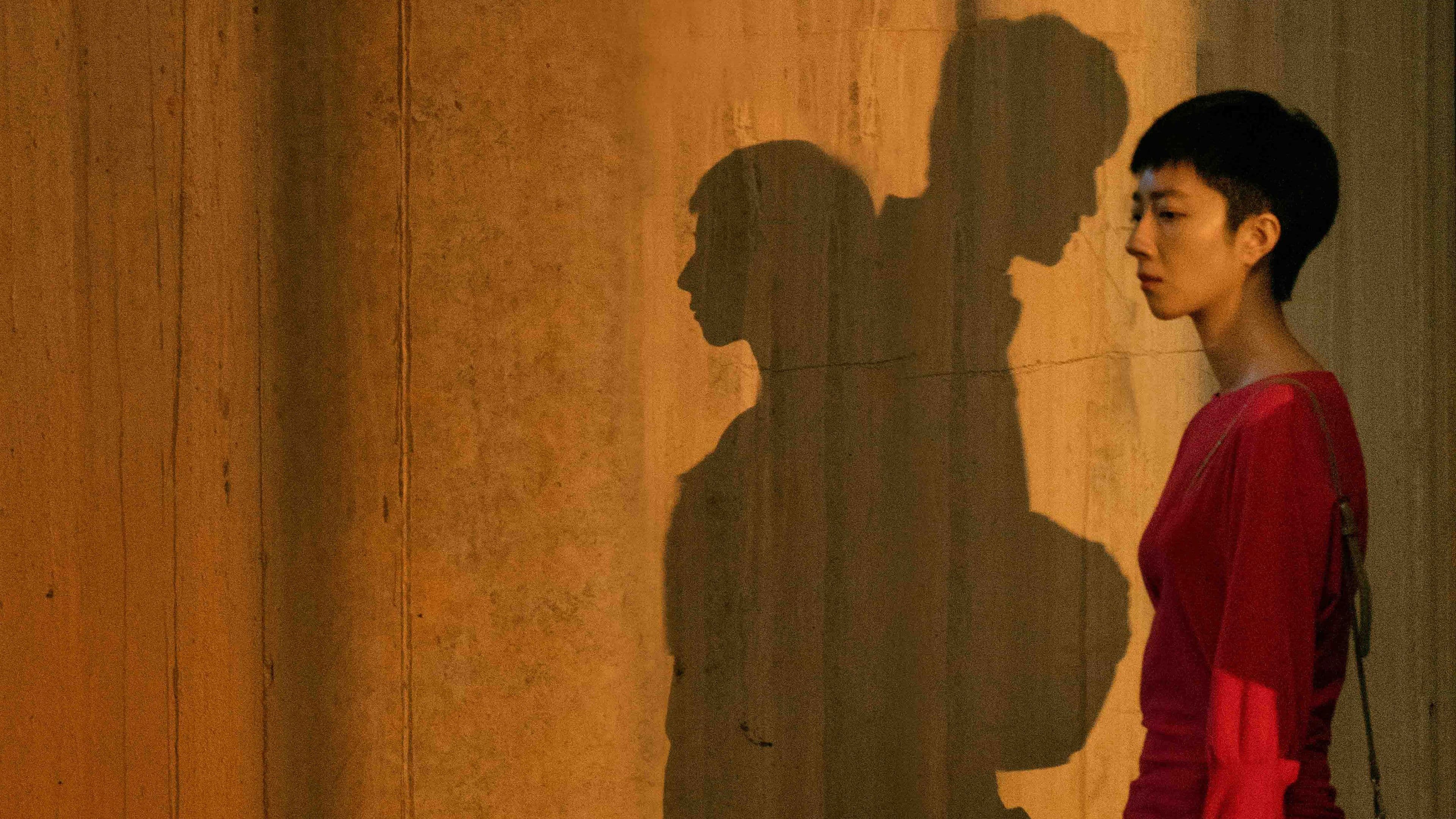 Der See der wilden Gänse