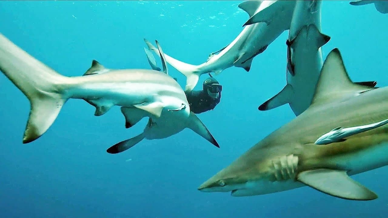 (R)EVOLUTION - Es geht um unser Überleben