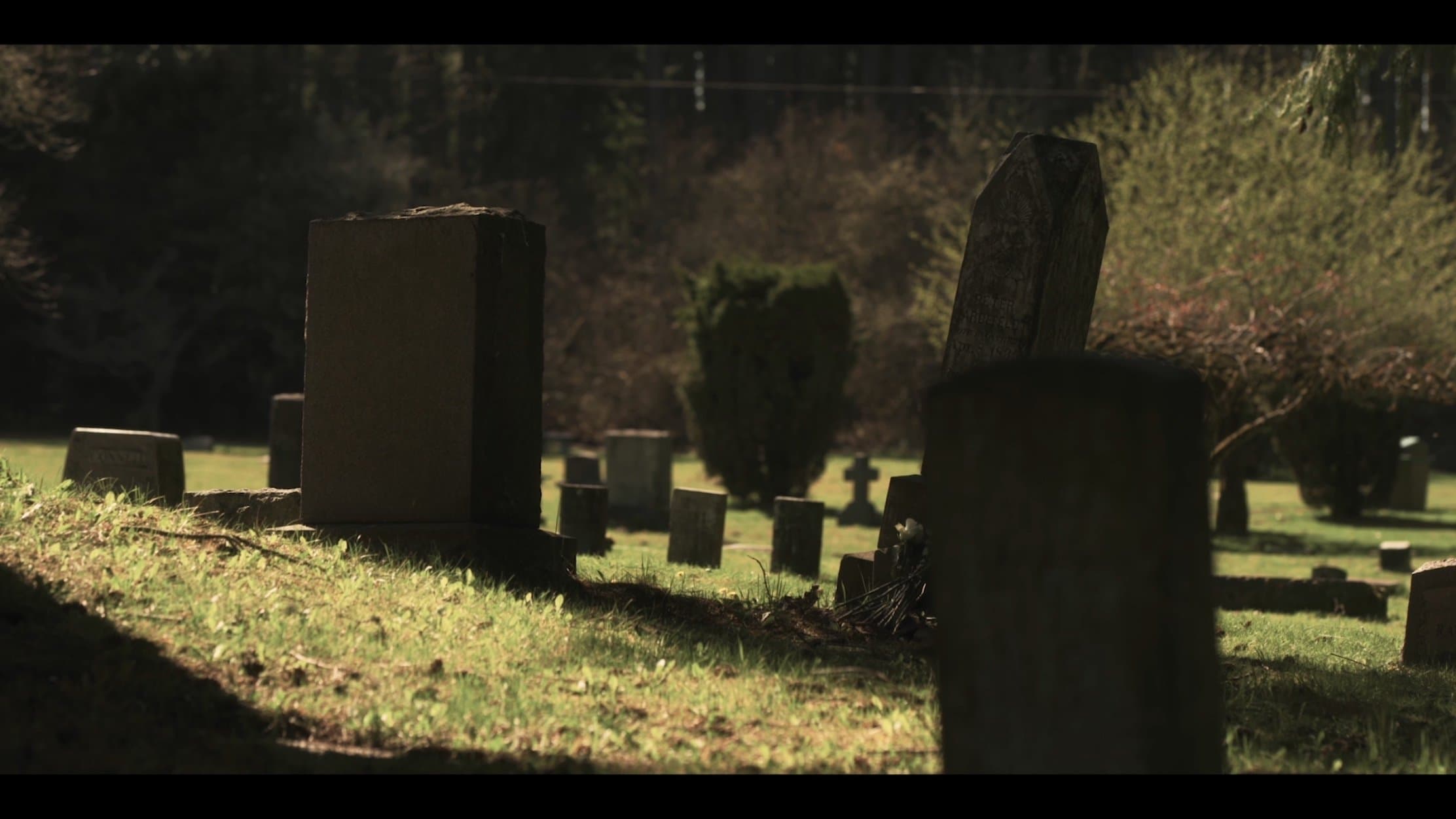 They Reach - Manche Tore sollte man nie öffnen