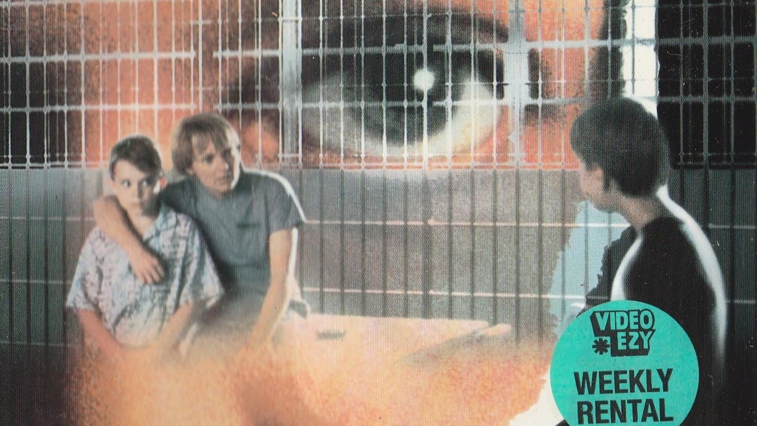 Schuld kennt kein Vergessen