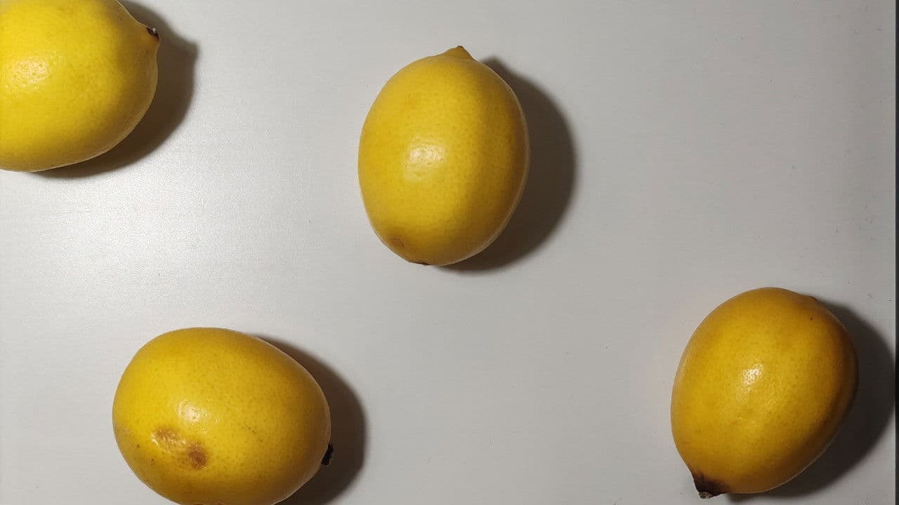Lemons (Singular)