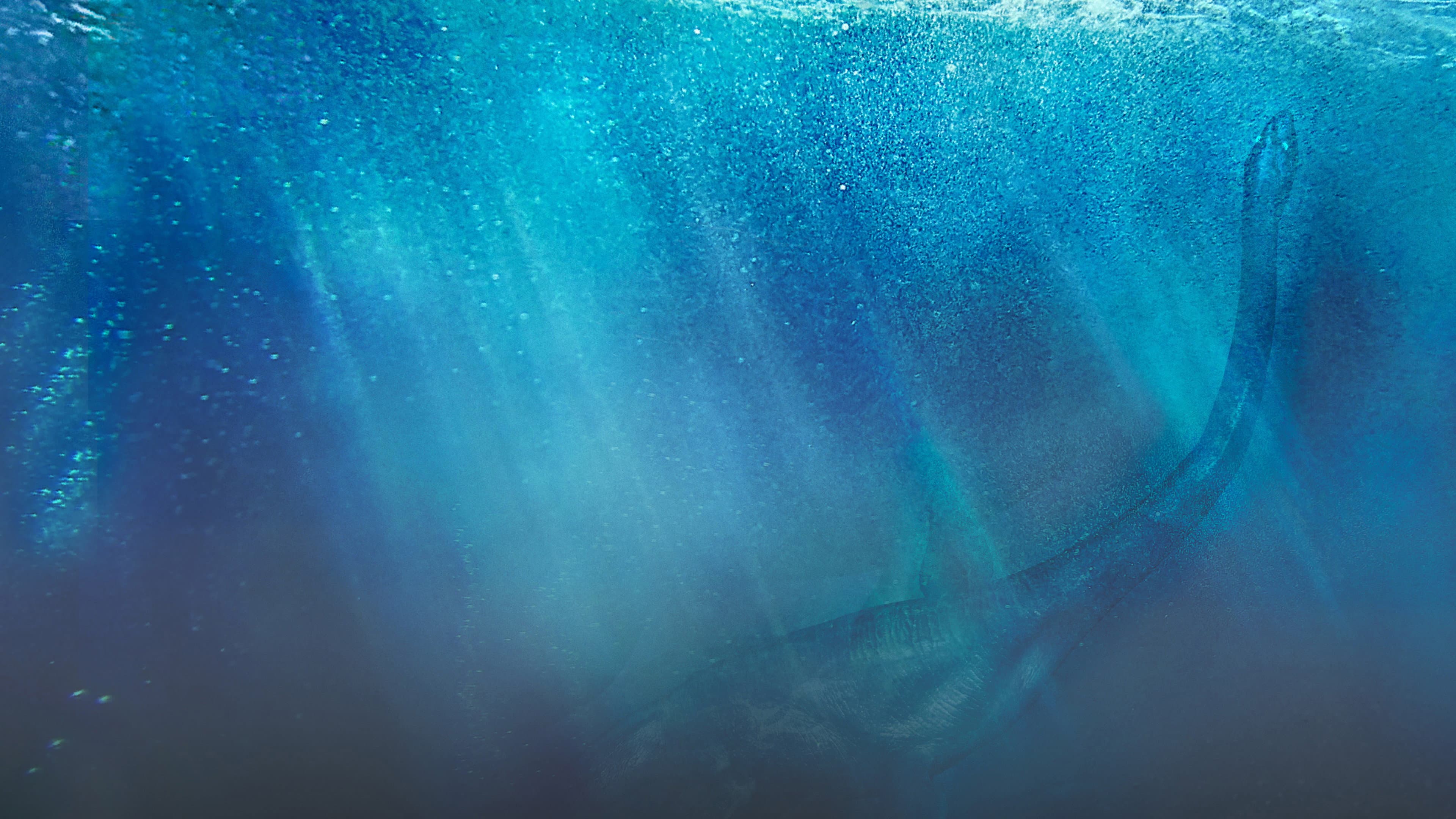 Das Monster von Loch Ness: Neue Spuren