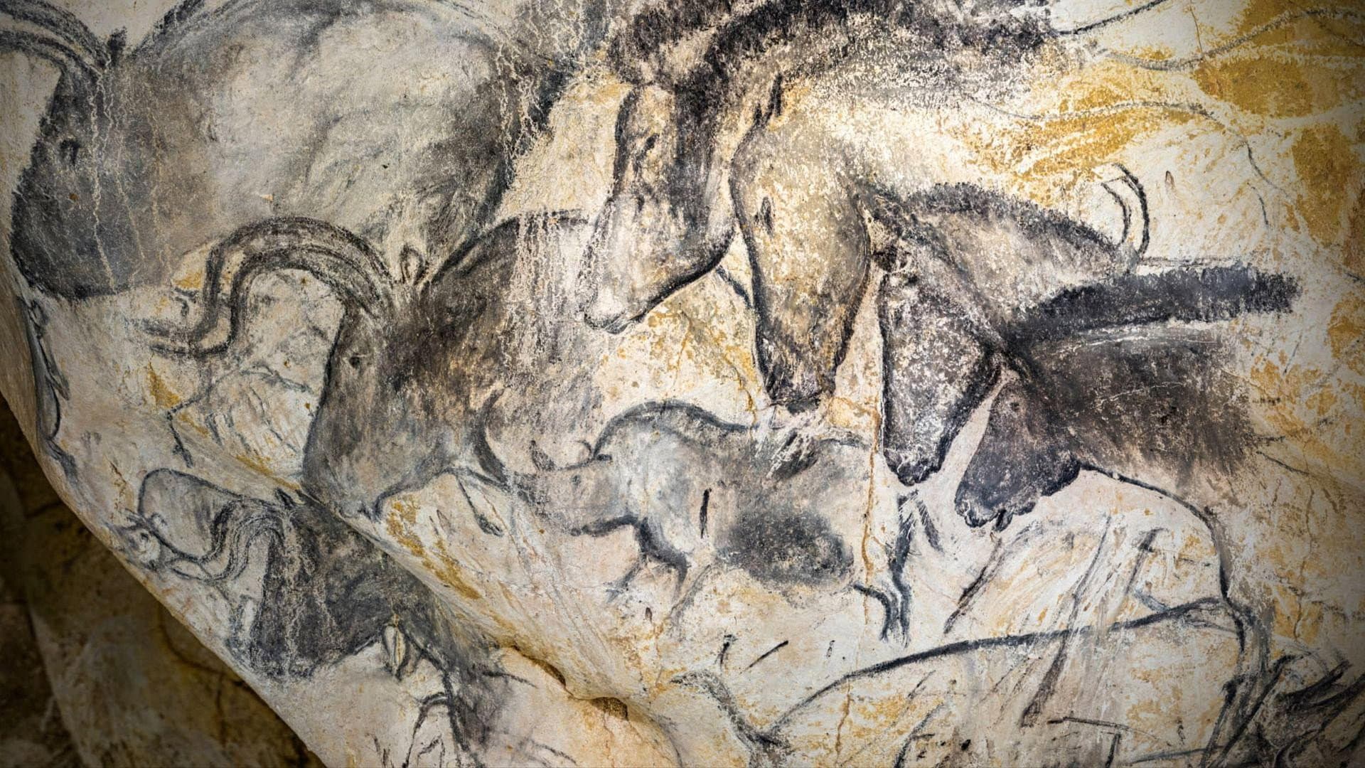 Auf den Spuren prähistorischer Künstler - Die Chauvet-Höhle