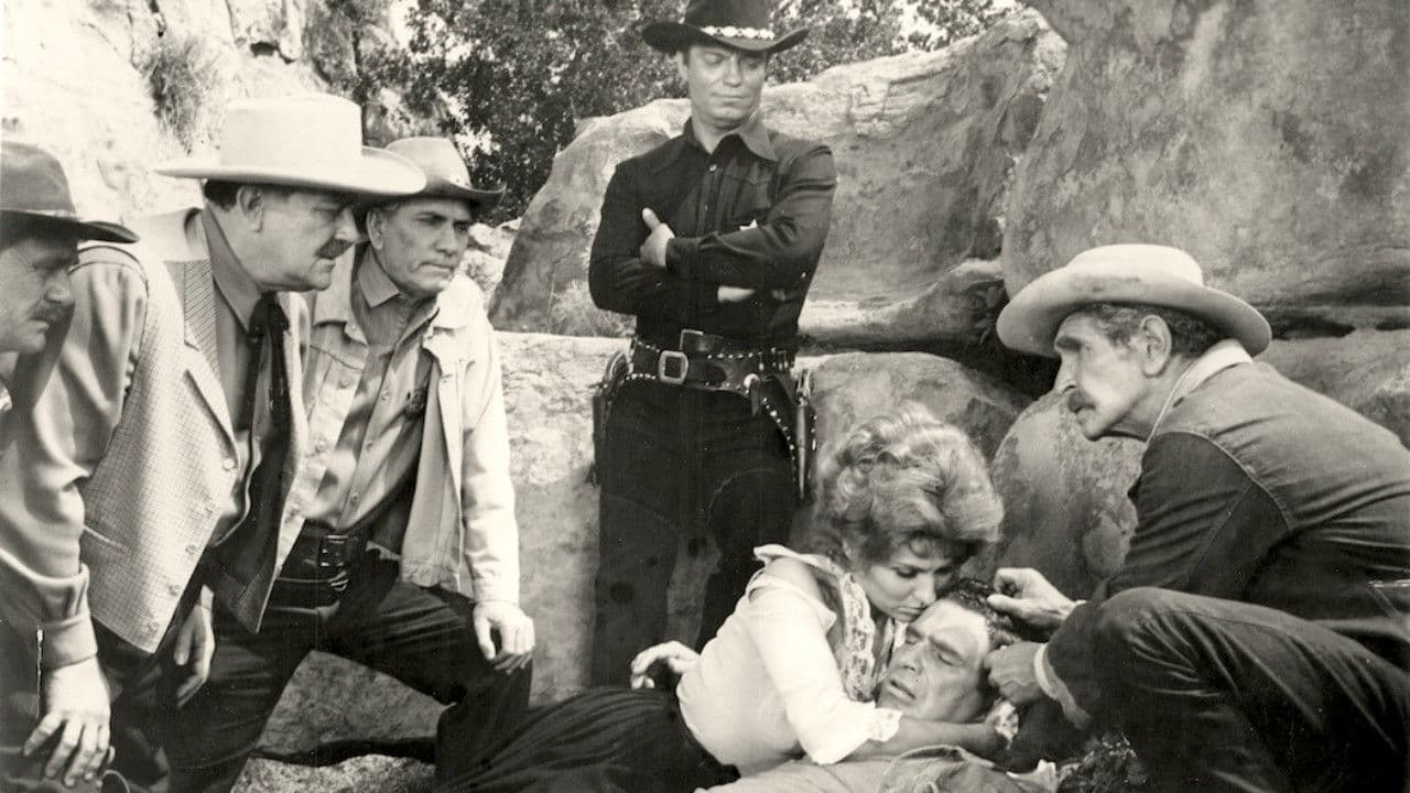 Das Zerrissene Lasso