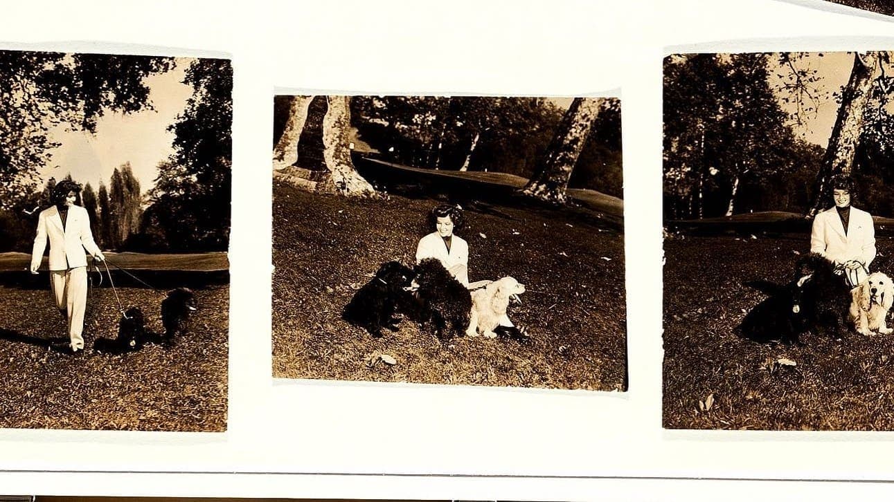 Call Me Kate - Katharine Hepburn, Star mit eigenem Kopf