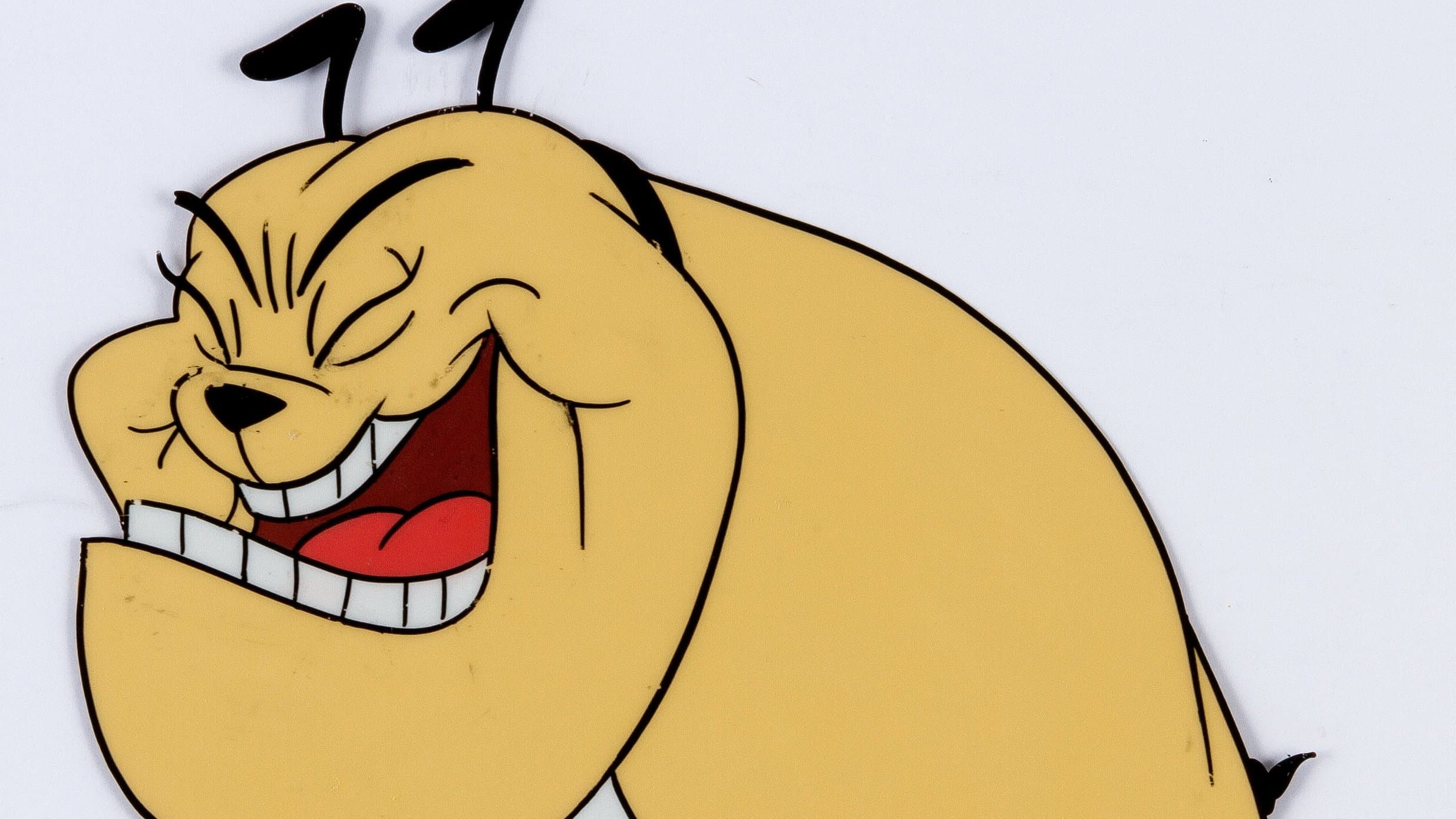 Tom kommt auf den Hund