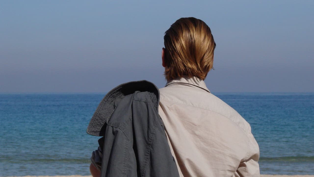 Die Möglichkeit einer Insel