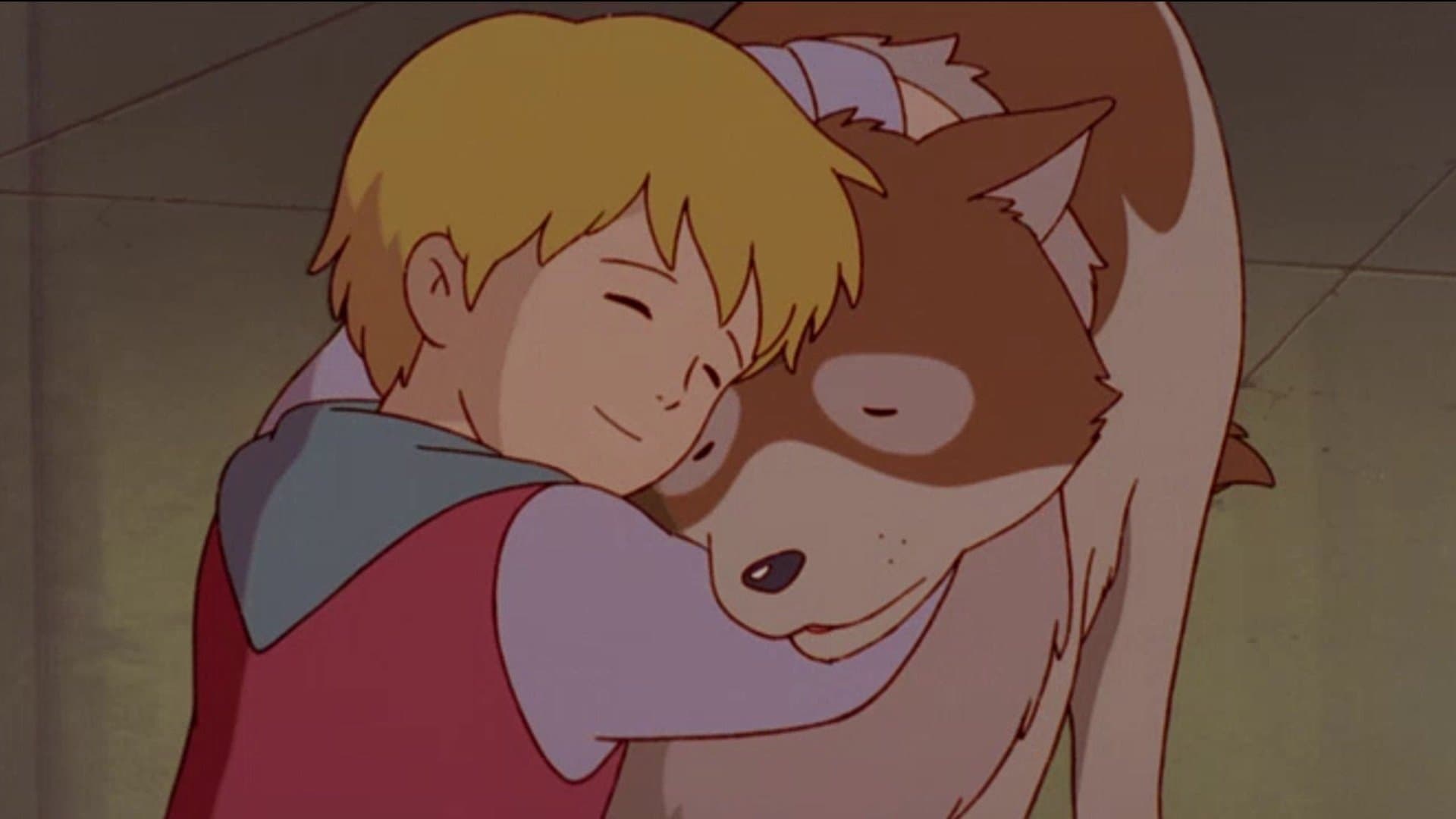 Niklaas, der Junge aus Flandern