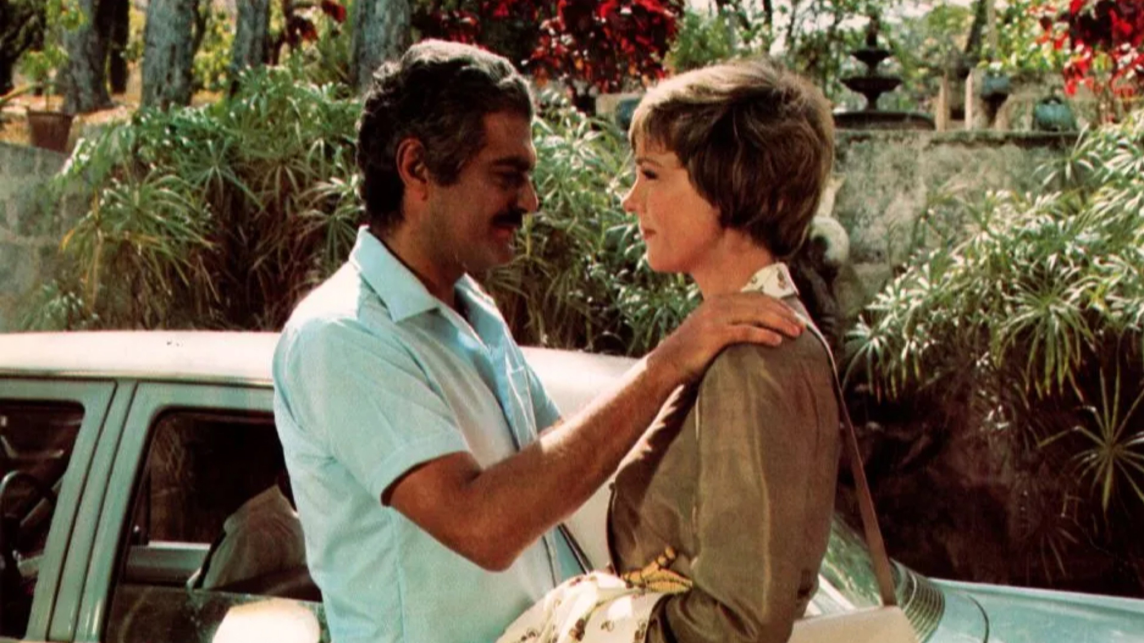 Die Frucht des Tropenbaumes