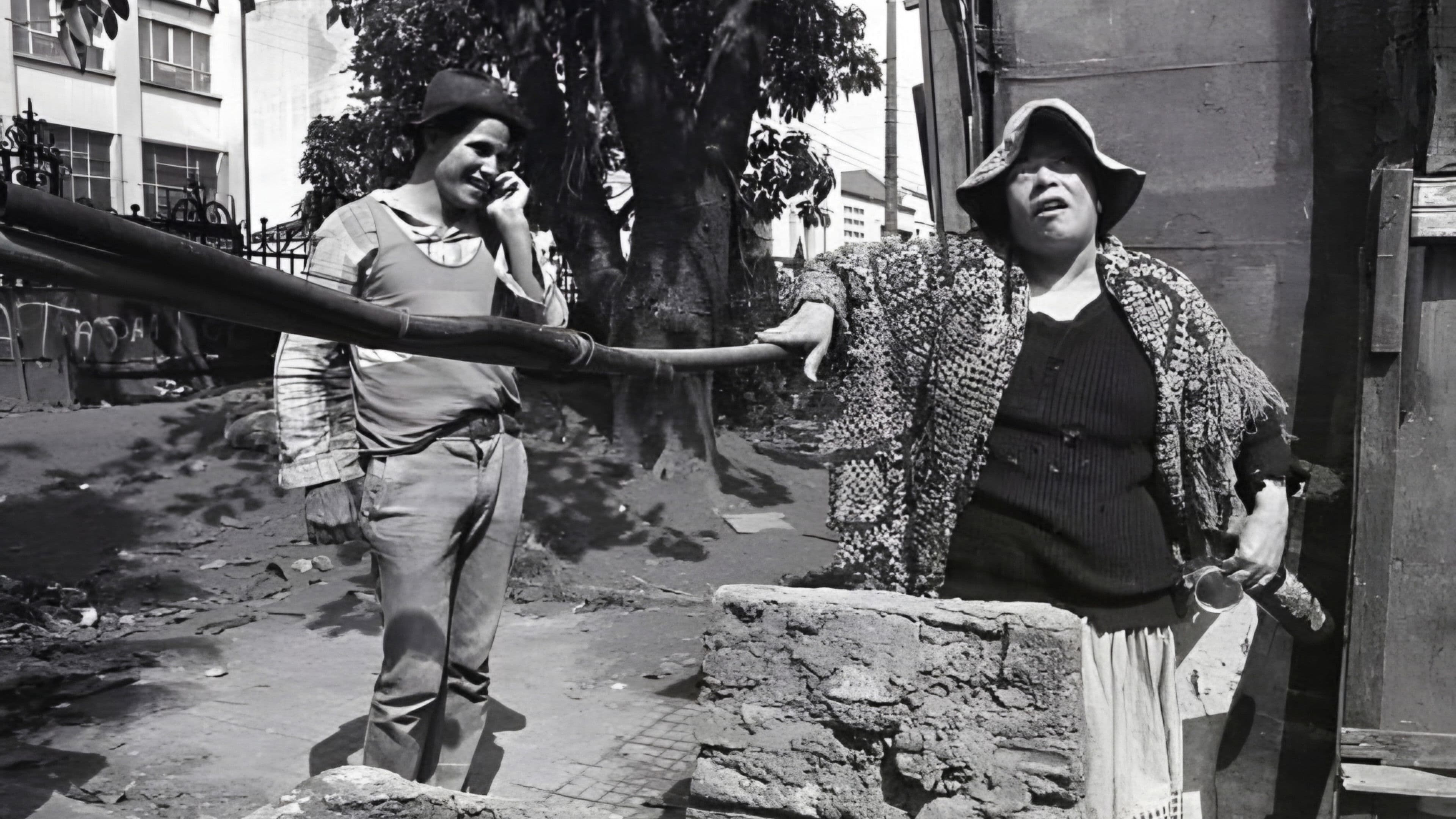 Brasileiras e Brasileiros