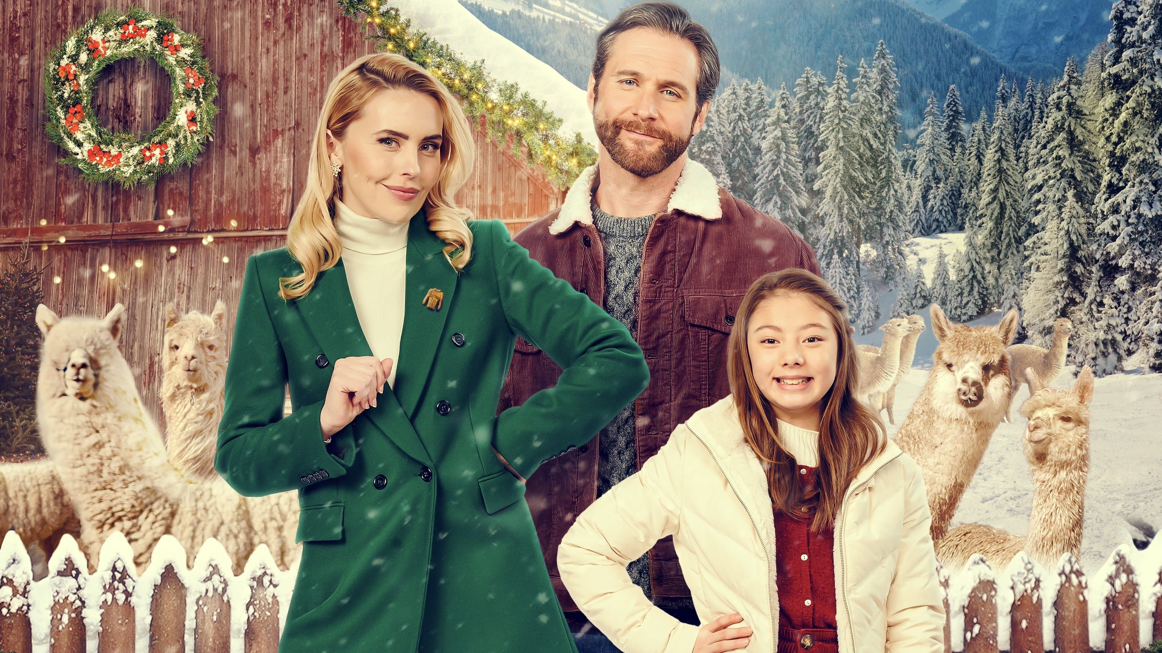 Weihnachten auf der Alpakafarm