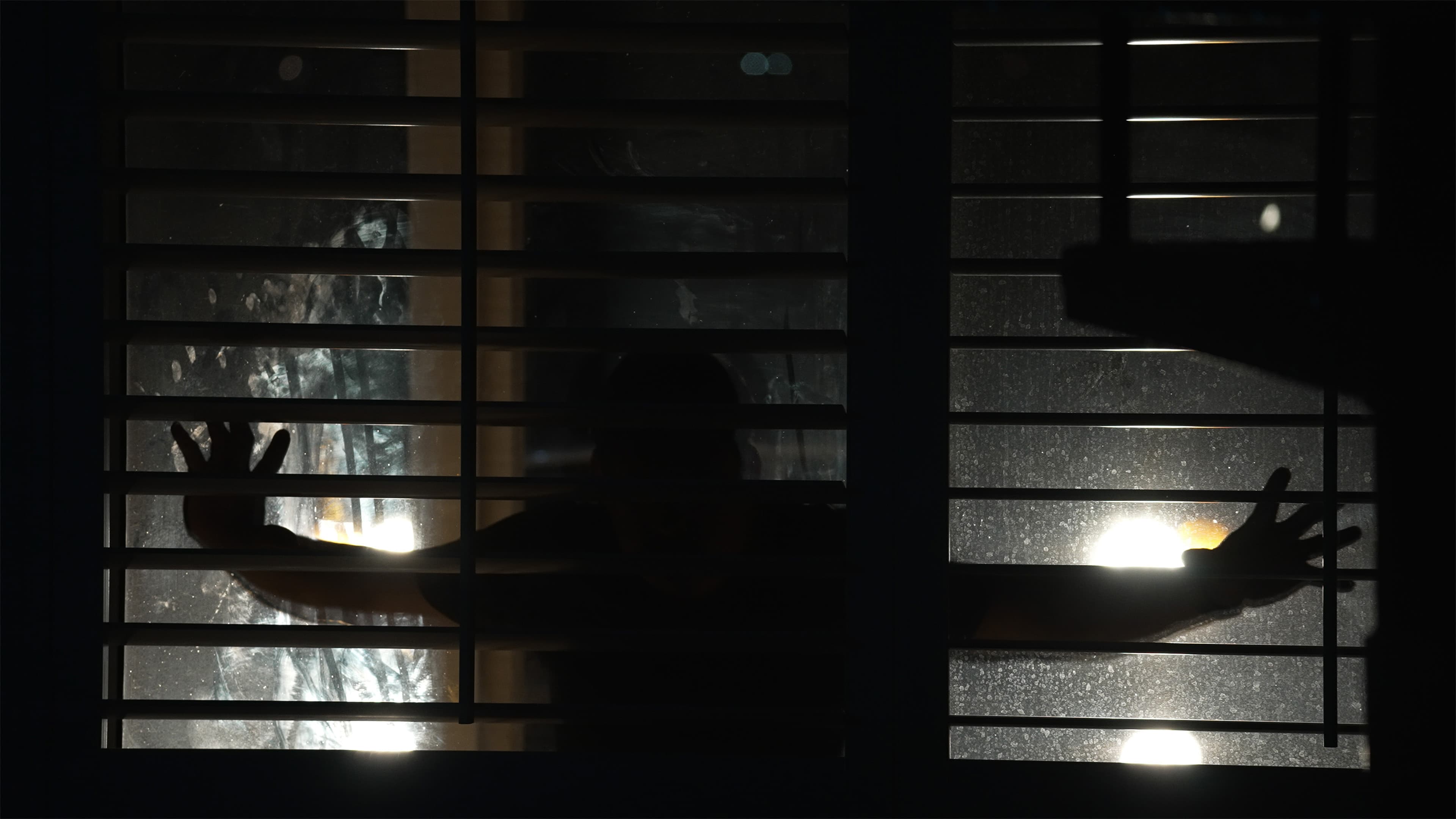 Spread: Pigs to Slaughter