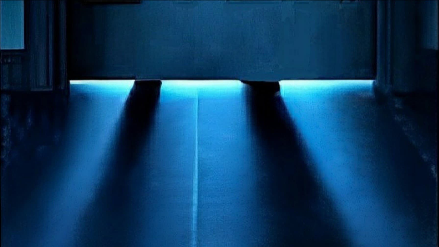 Der schlimmste Mitbewohner aller Zeiten