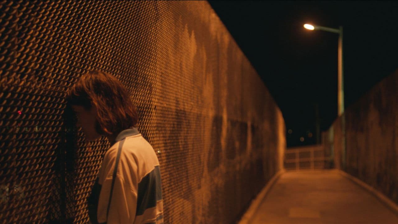 Palm Trees and Power Lines