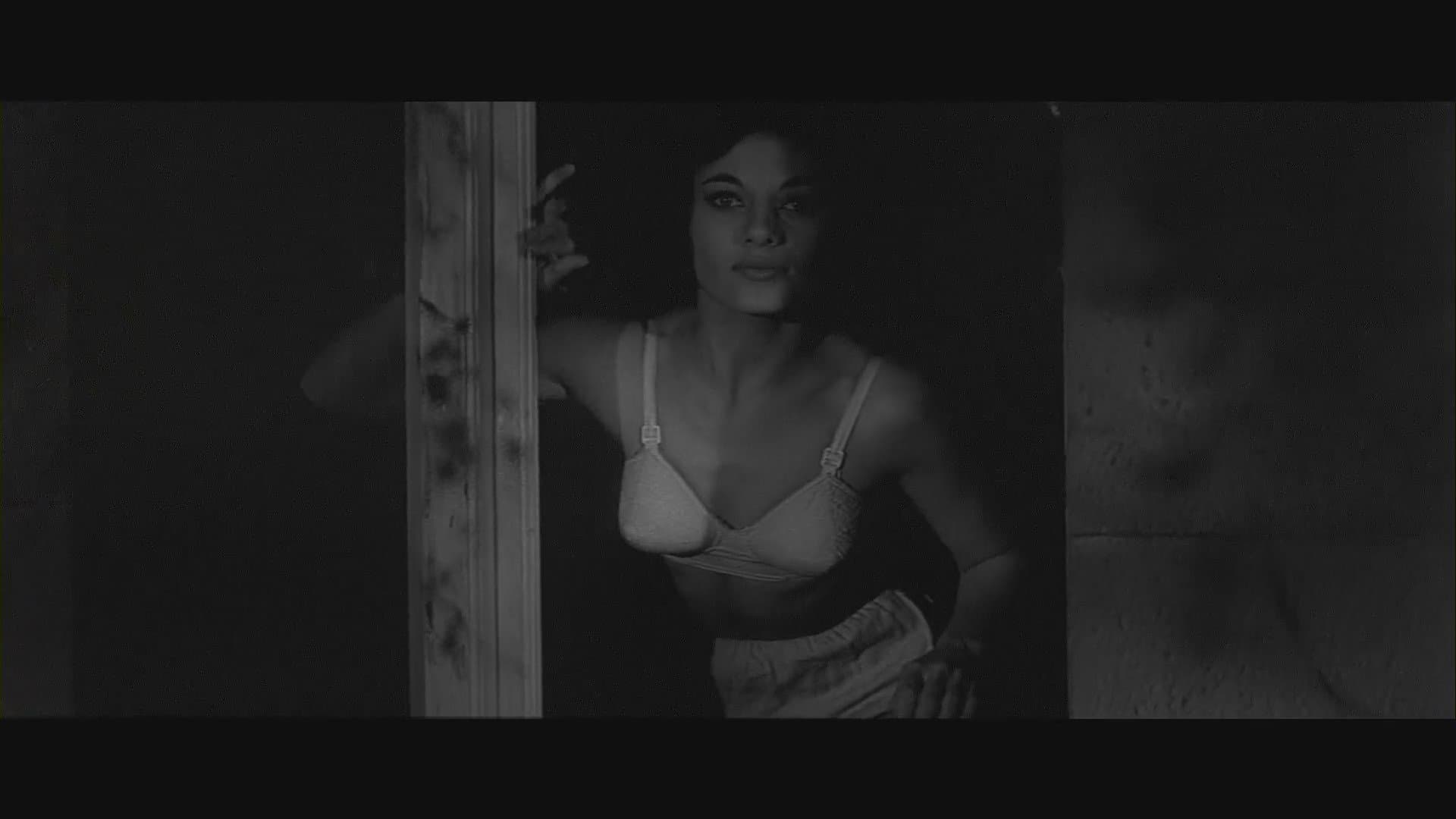 Der Fluch der Fliege