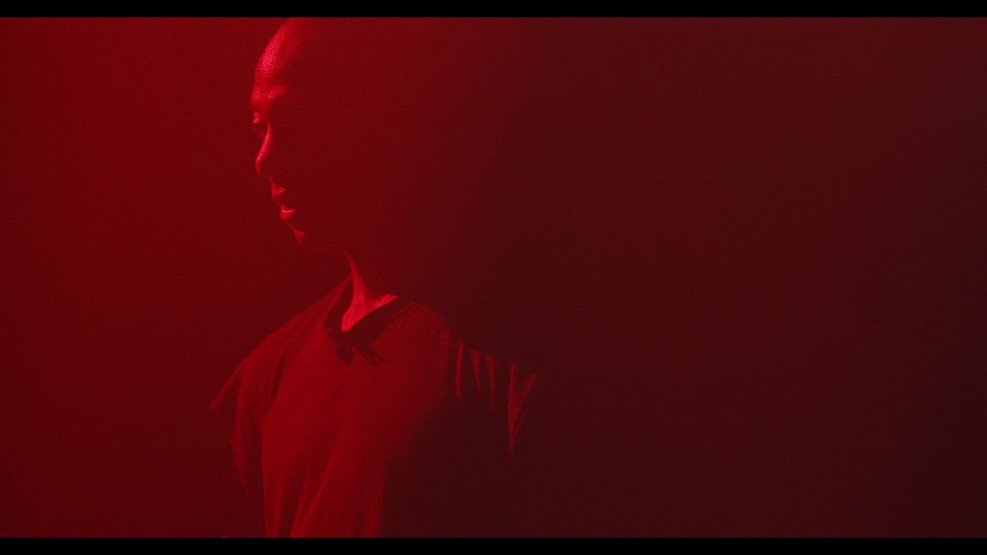 Touch of RED: RECOLLECTION