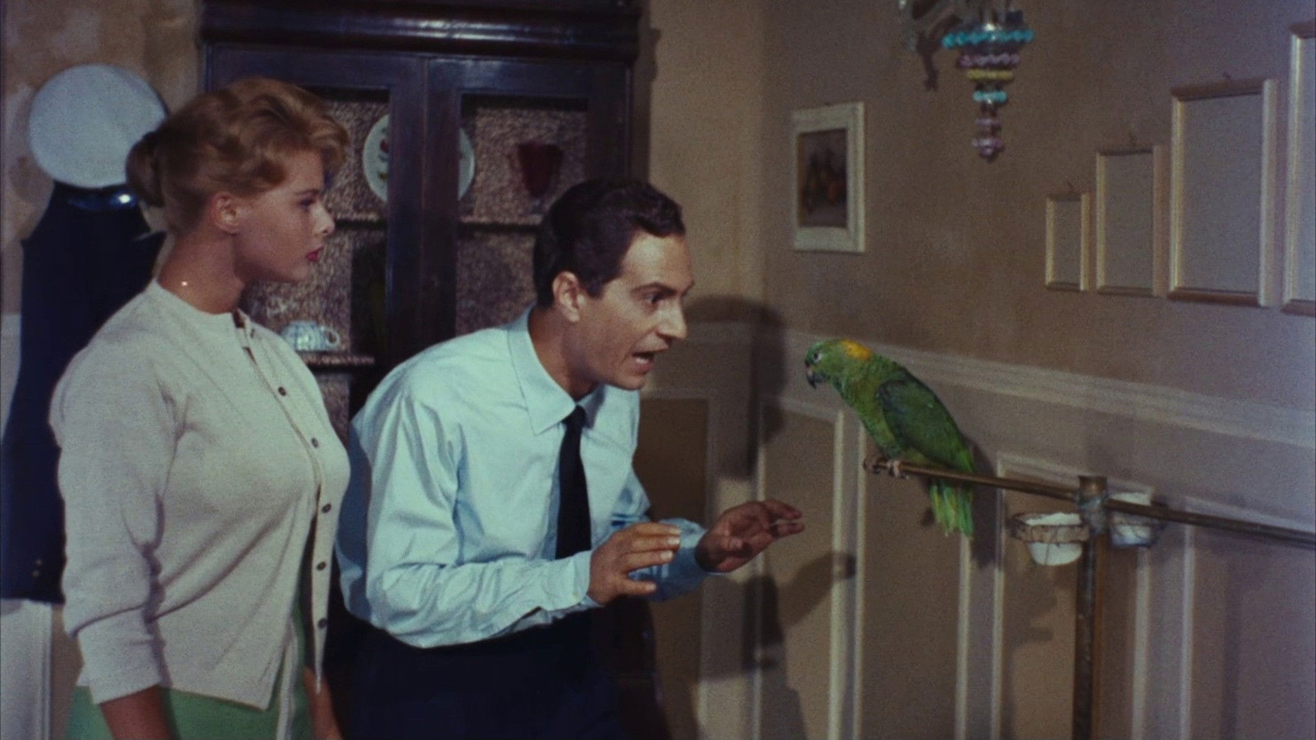 Der Windhund von Venedig