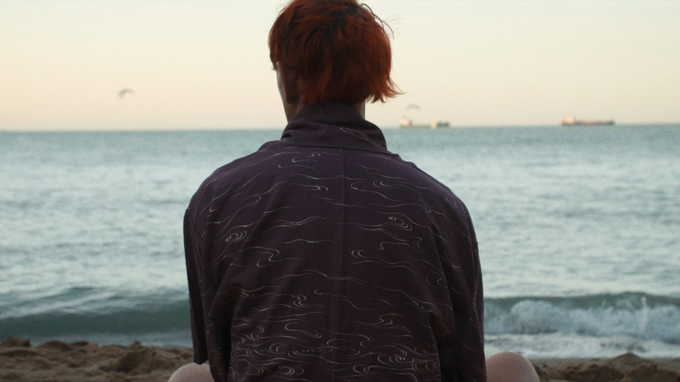 Howls to the Harbour