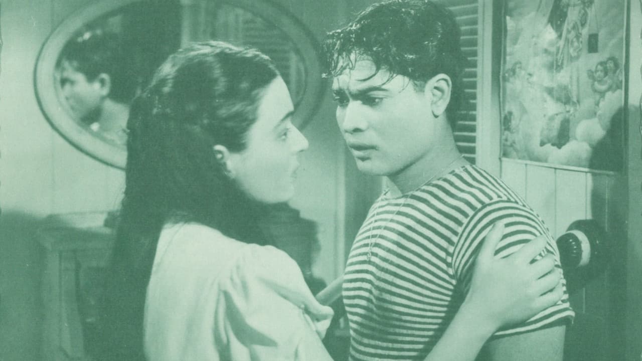 Abenteuer in Brasilien