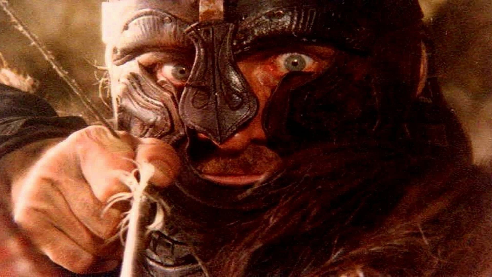 Die Rache des Wikingers