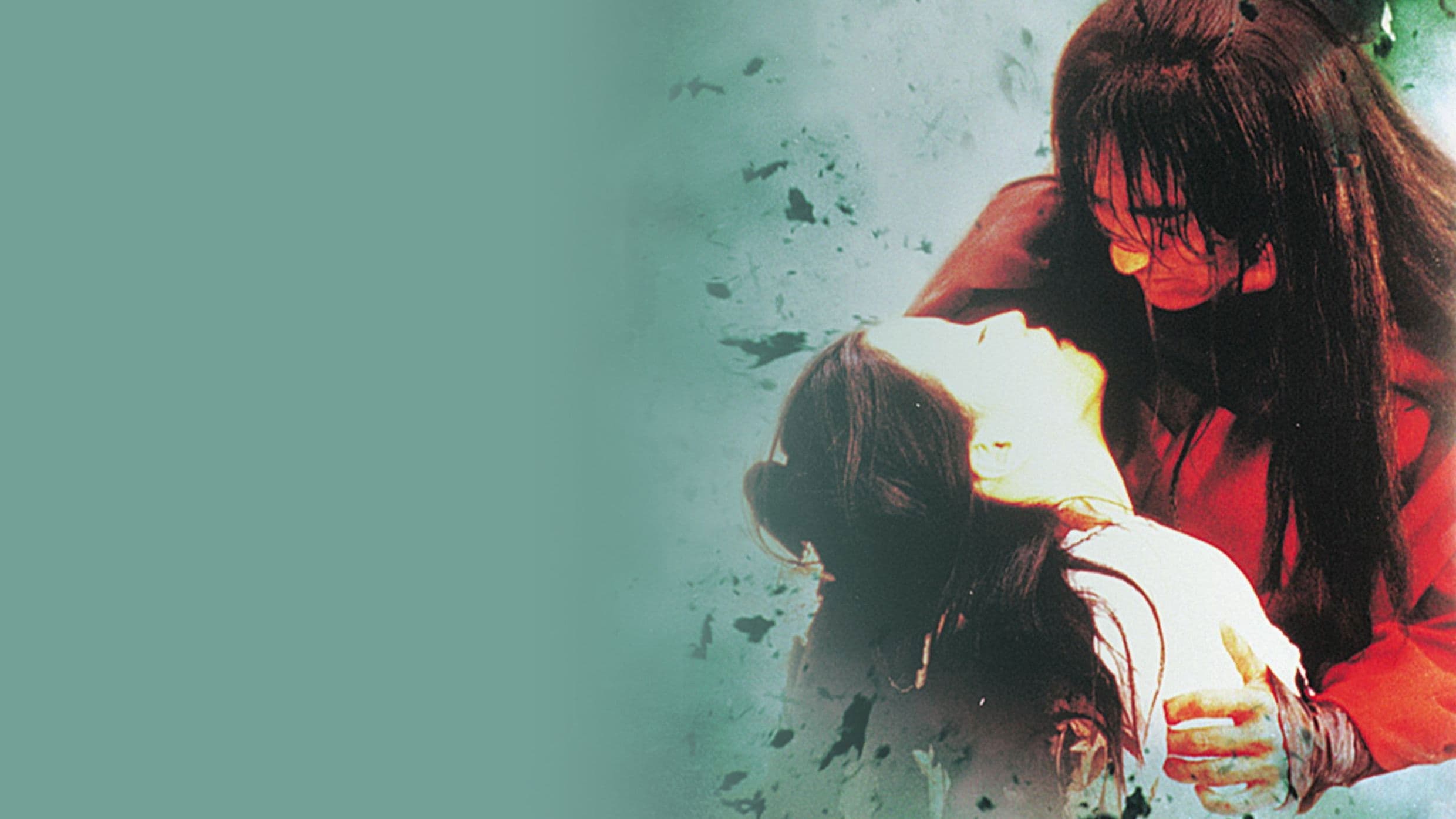 Bichunmoo - Das Geheimnis des Meisters