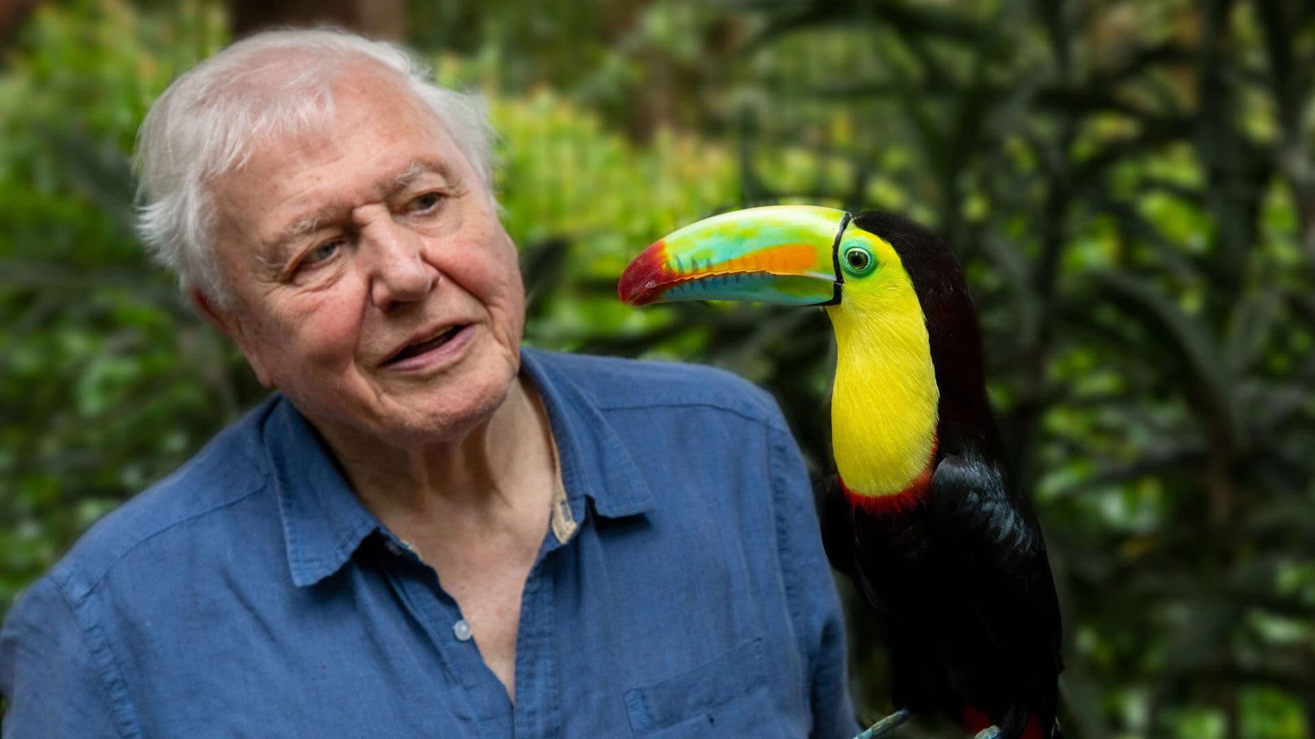 Das Leben in Farbe mit David Attenborough