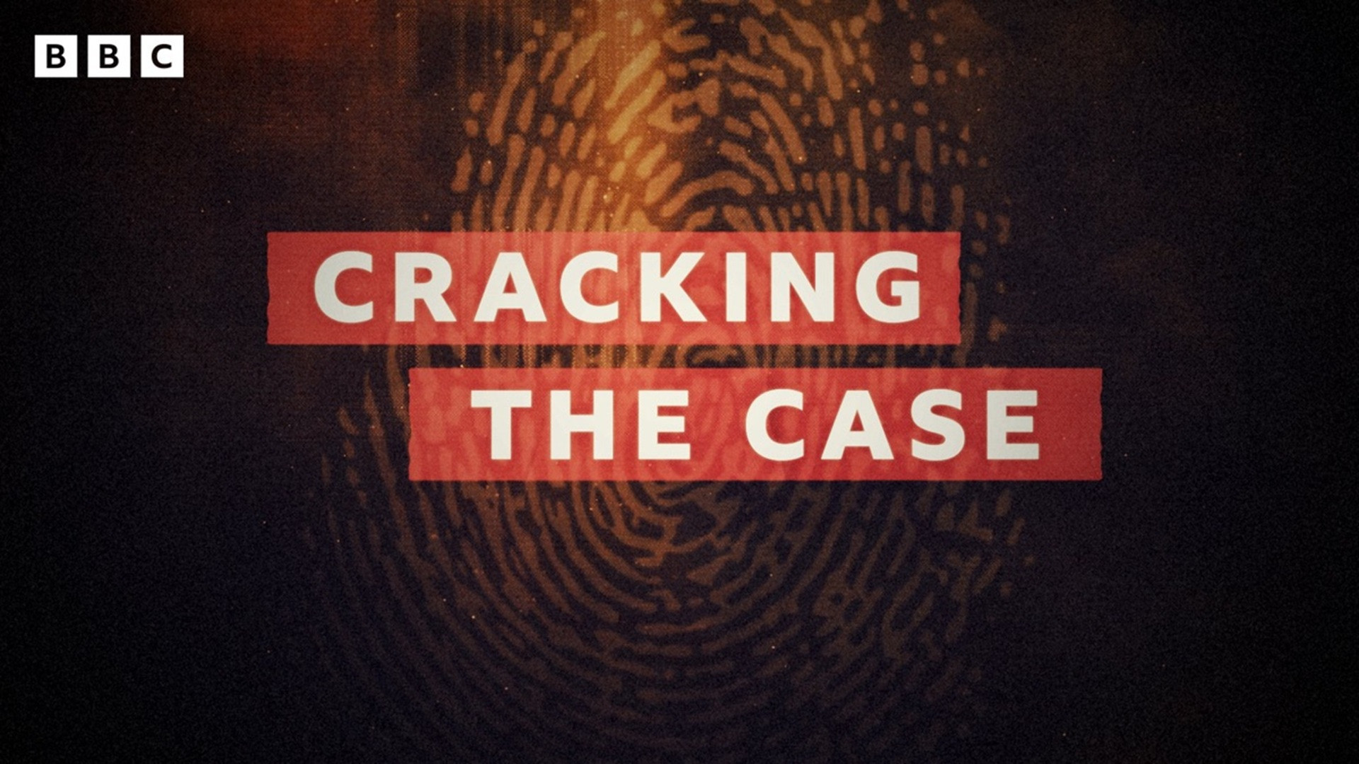 Cracking The Case