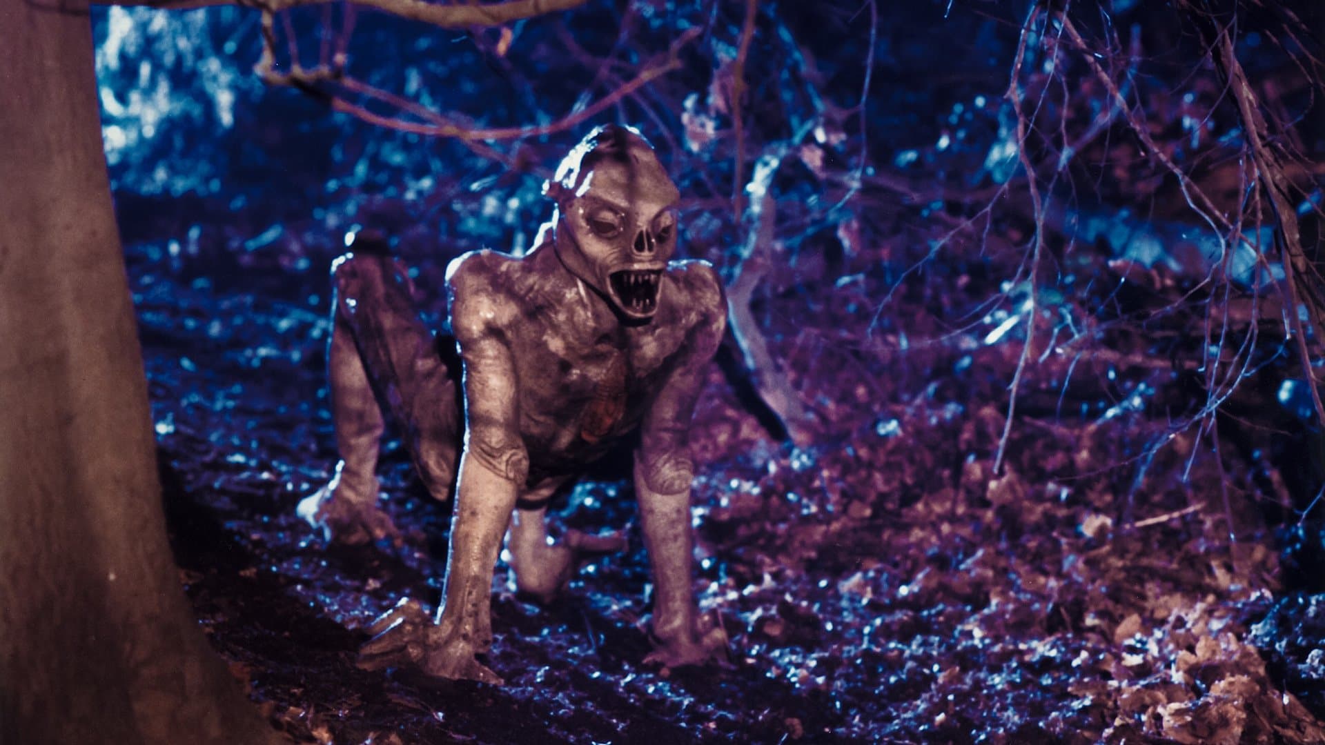 X-Tro - Nicht alle Außerirdischen sind freundlich