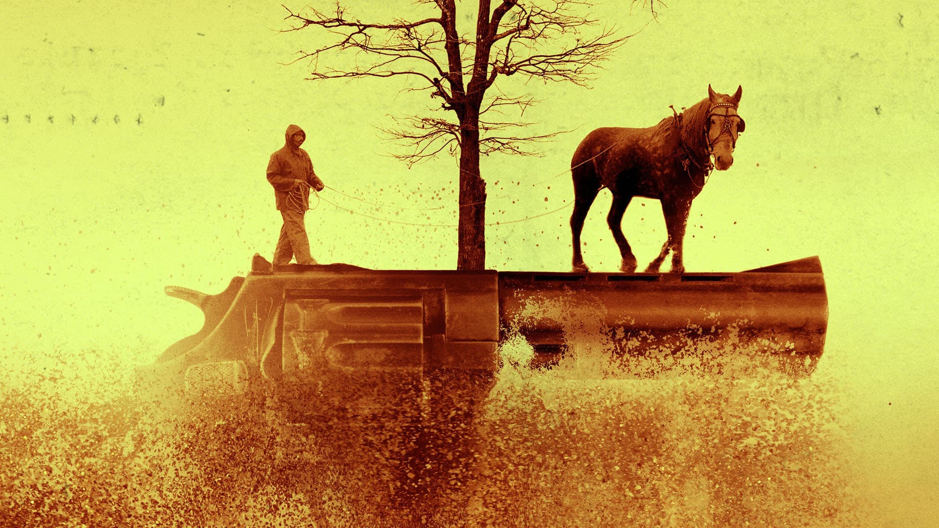 A Small Fortune - Ein kleines Vermögen