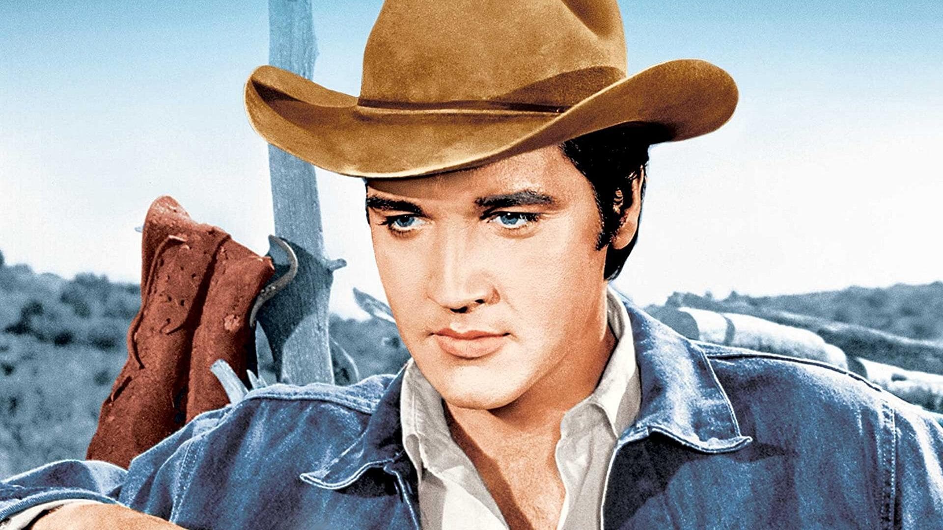 Harte Fäuste, heiße Lieder