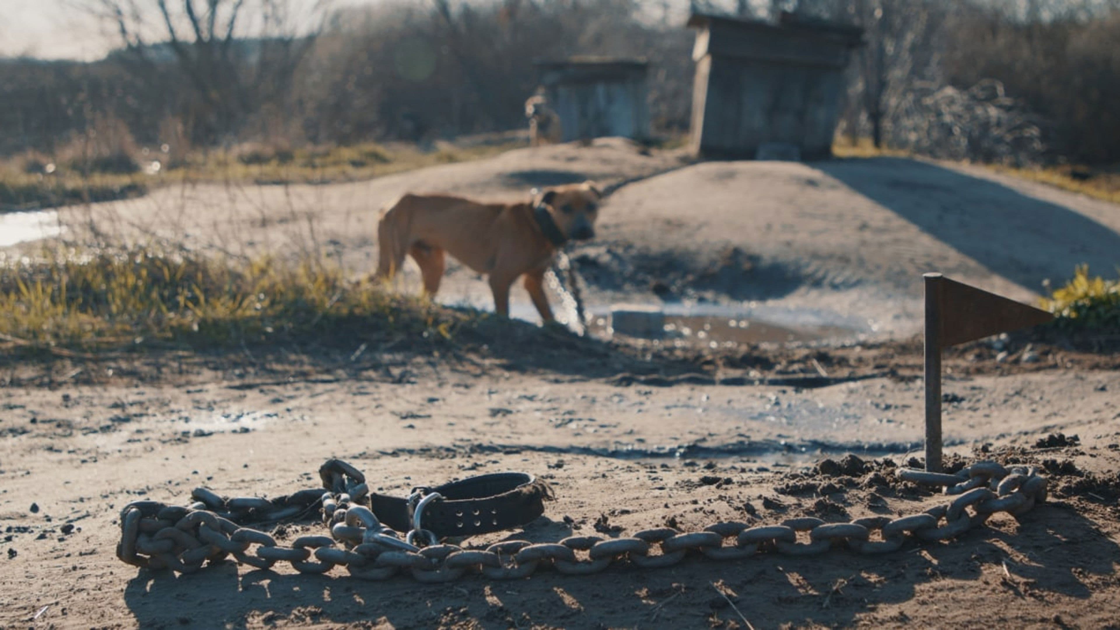 У пошуках Ніки