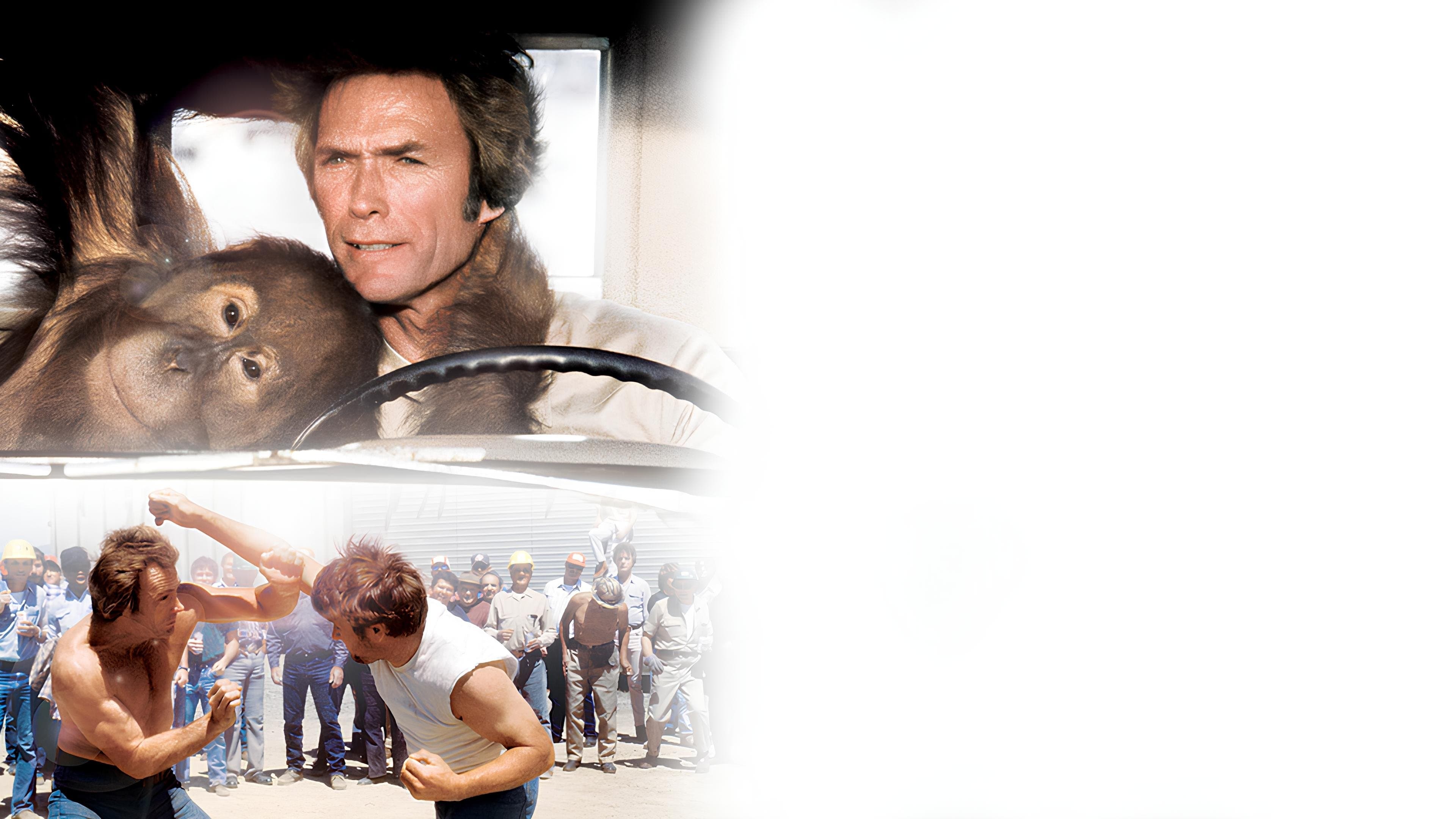 Der Mann aus San Fernando