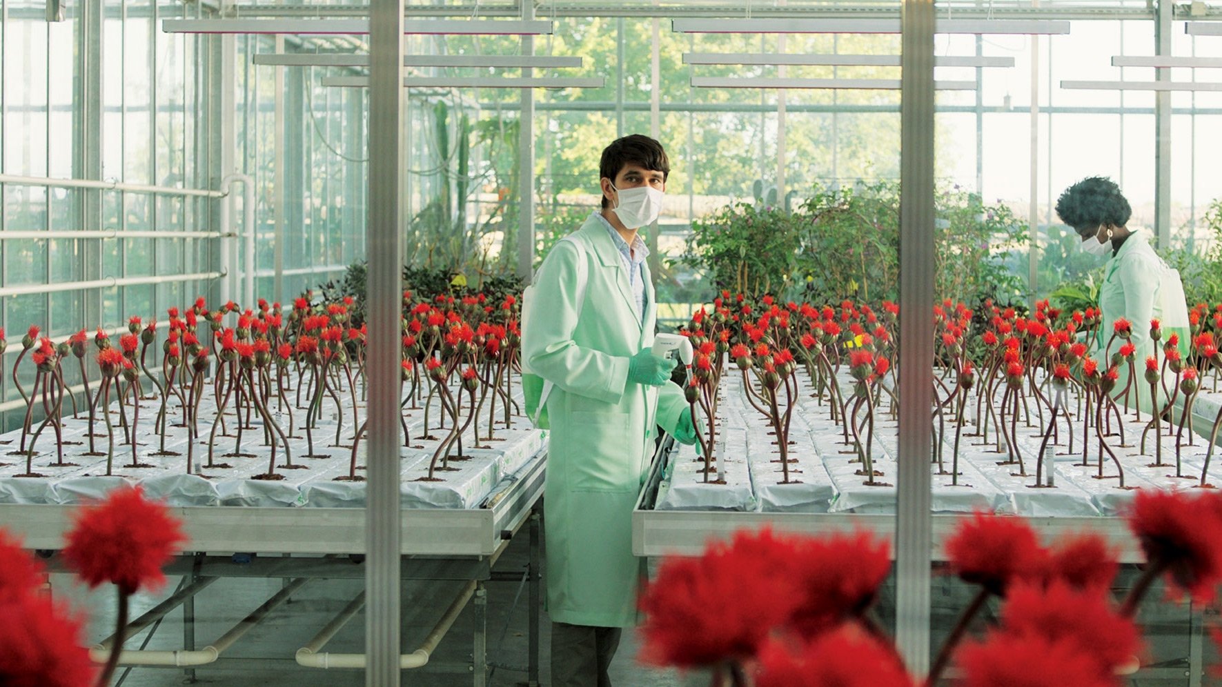 Little Joe - Glück ist ein Geschäft