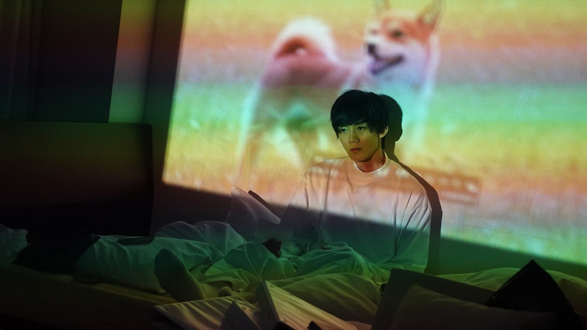 犬、回転して、逃げる