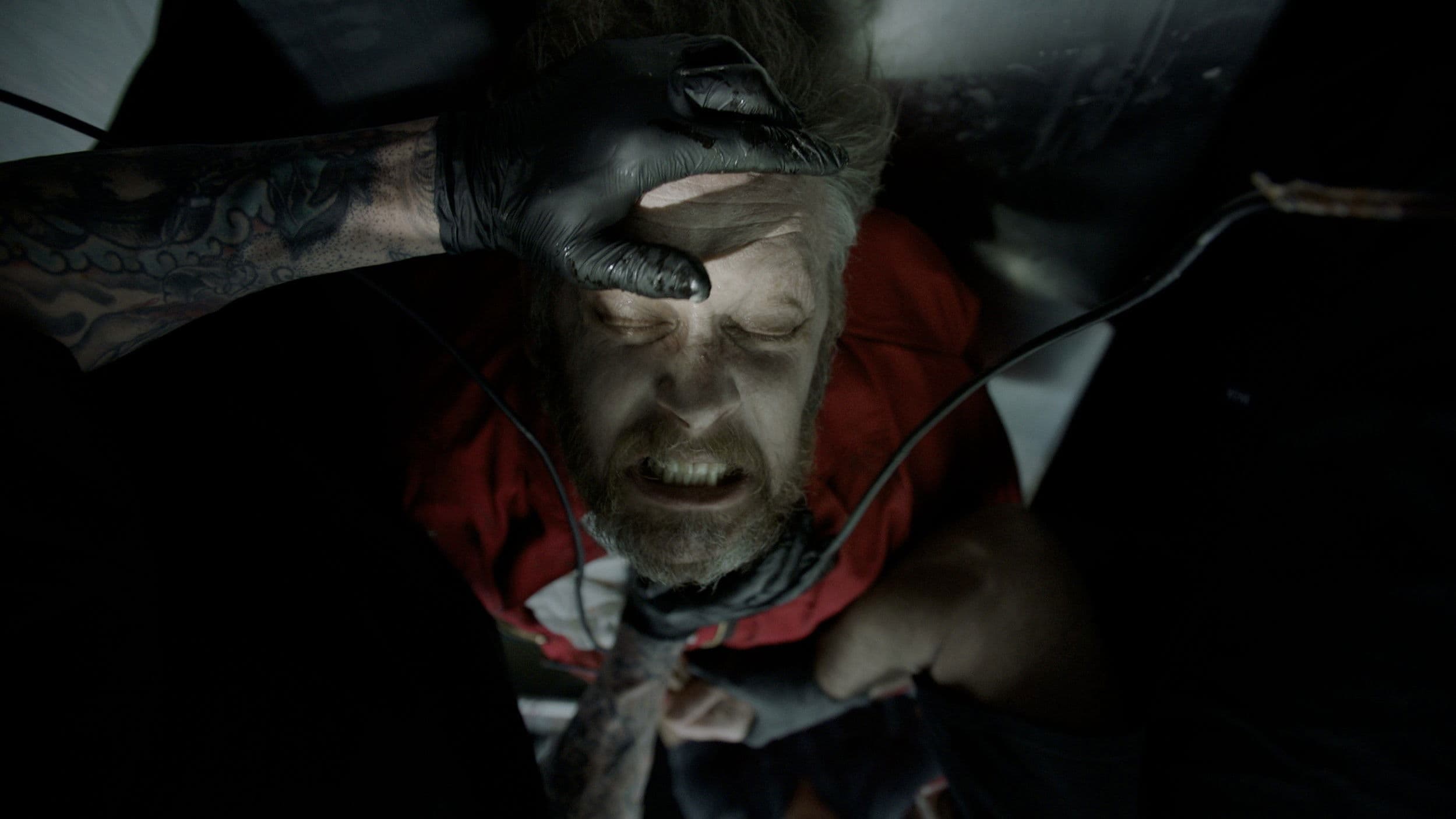 Blood in the Shadows