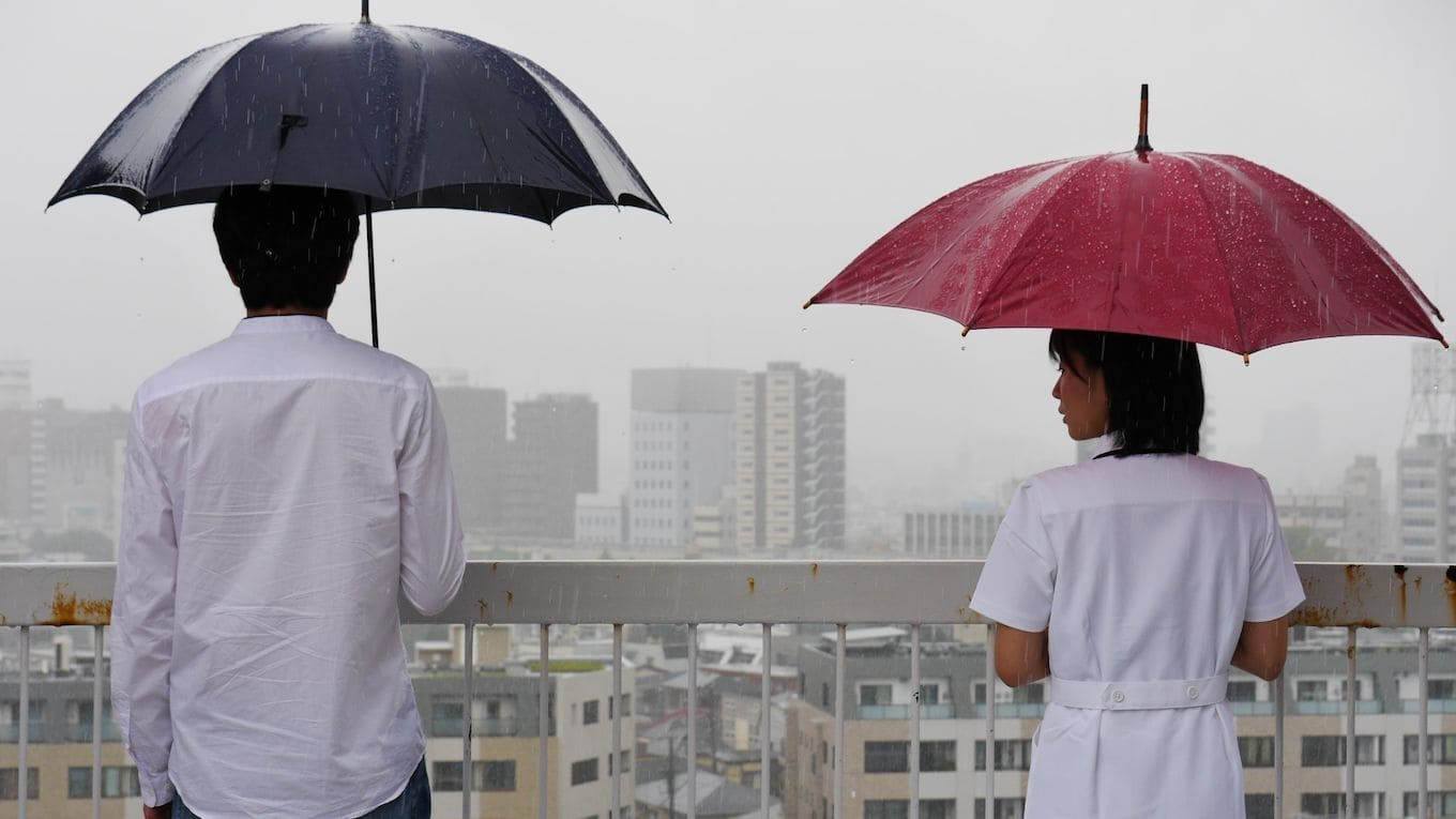 君にあえたら 妻の恋人