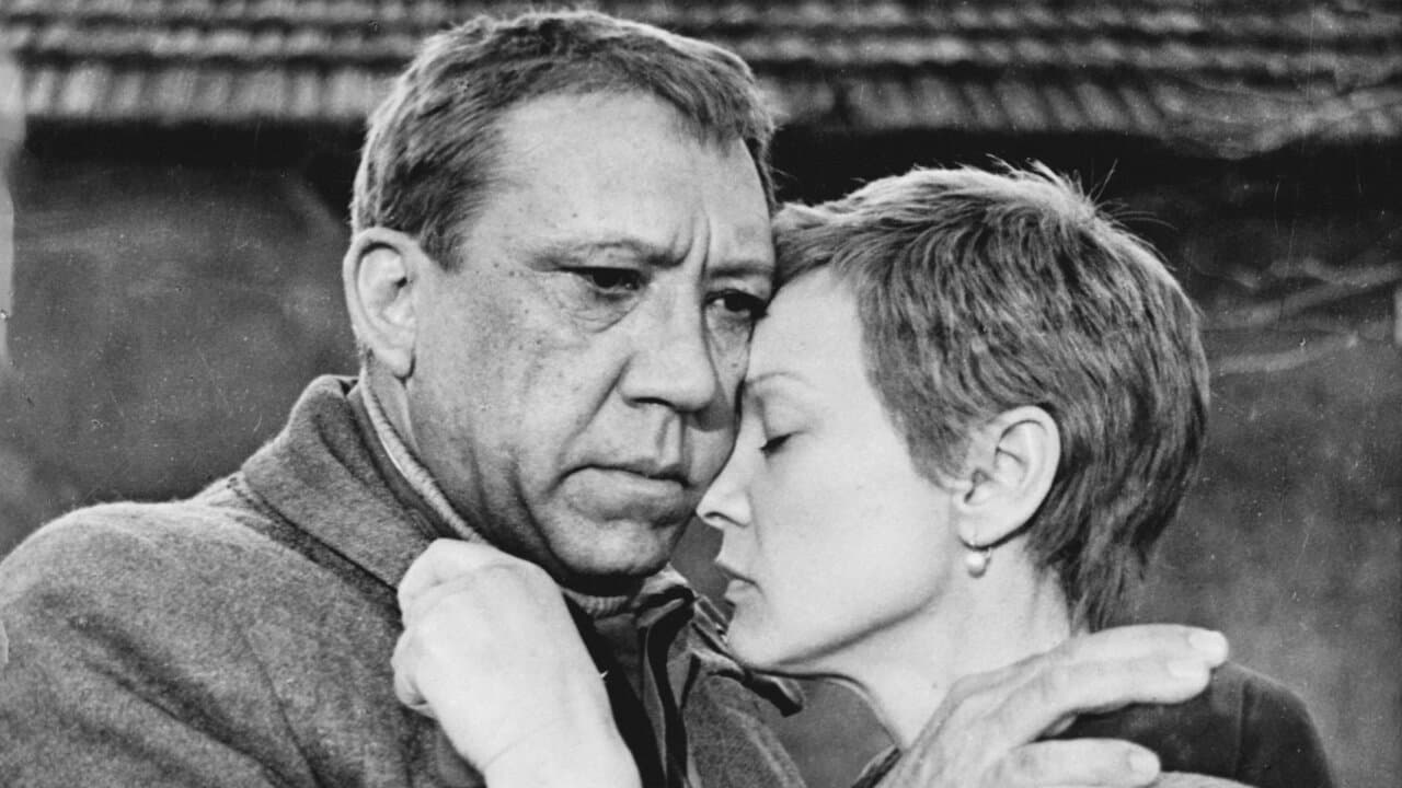 Двадцать дней без войны