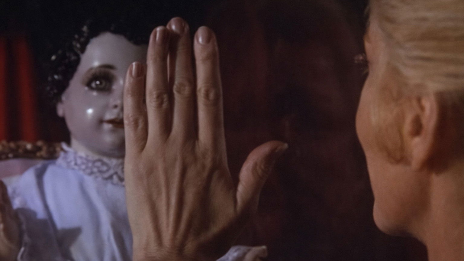 Las mariposas disecadas