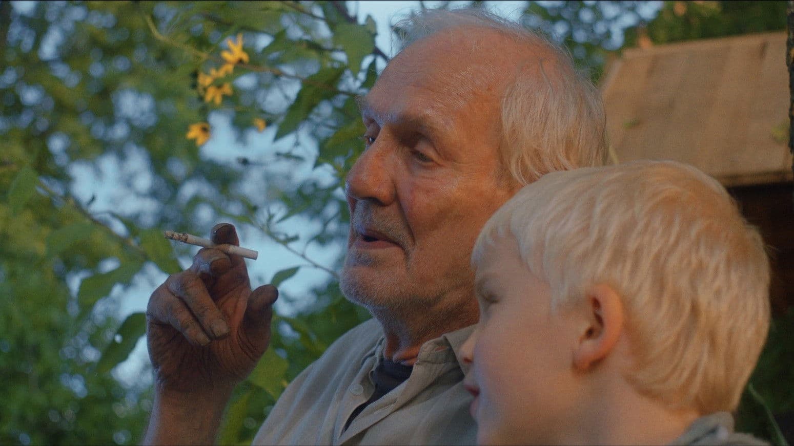 Räägitakse, et tomatid armastavad rokkmuusikat