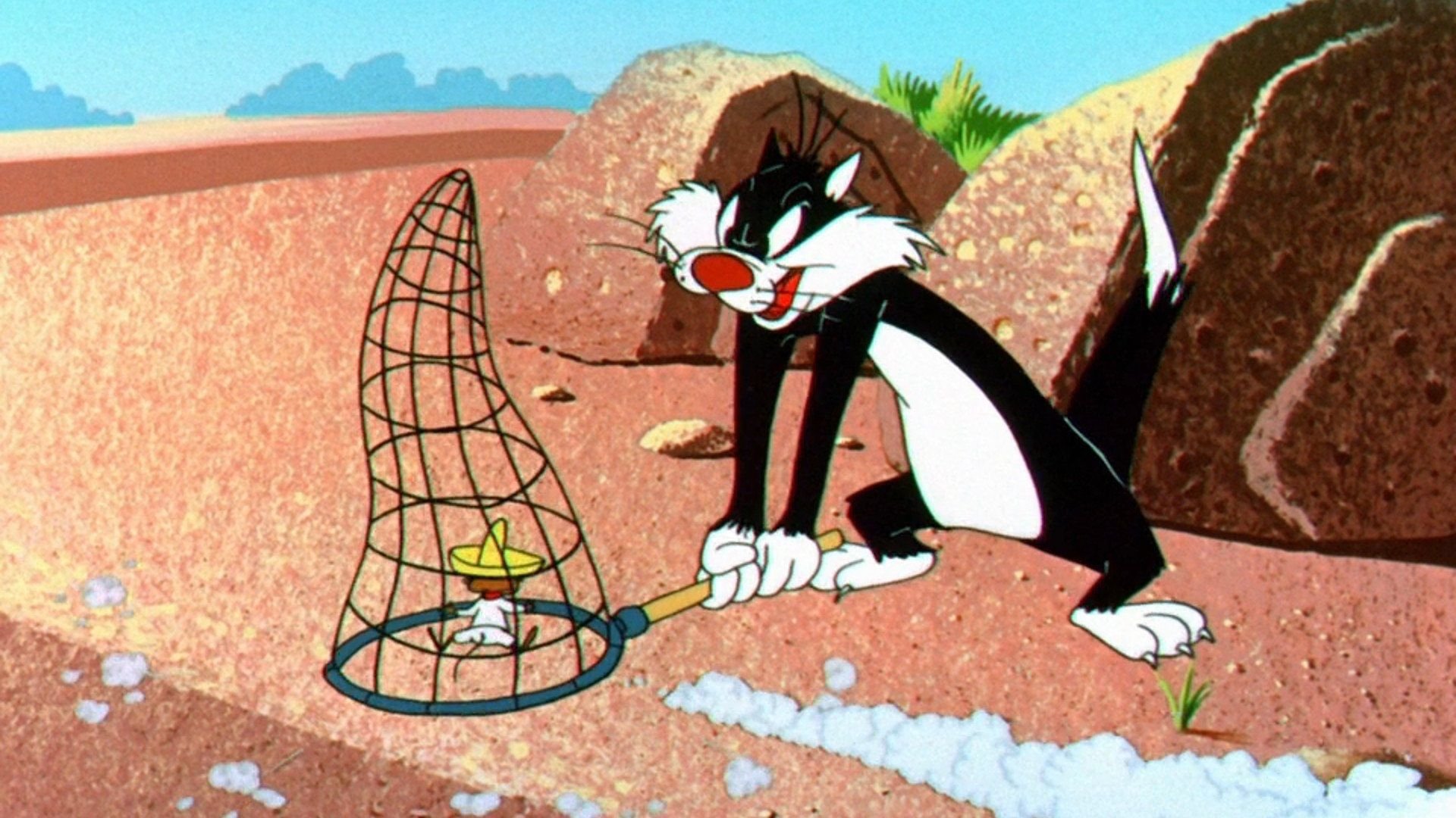 Die schnellste Maus von Mexiko