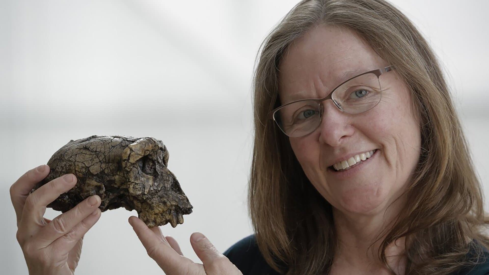 Europa – Wiege der Menschheit