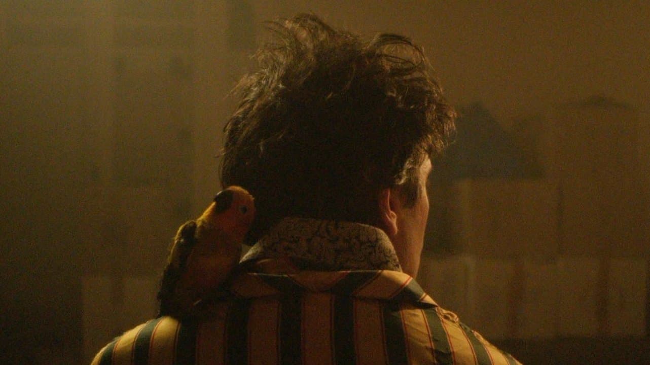 Le Ciel Ă©toilĂ© au-dessus de ma tĂȘte